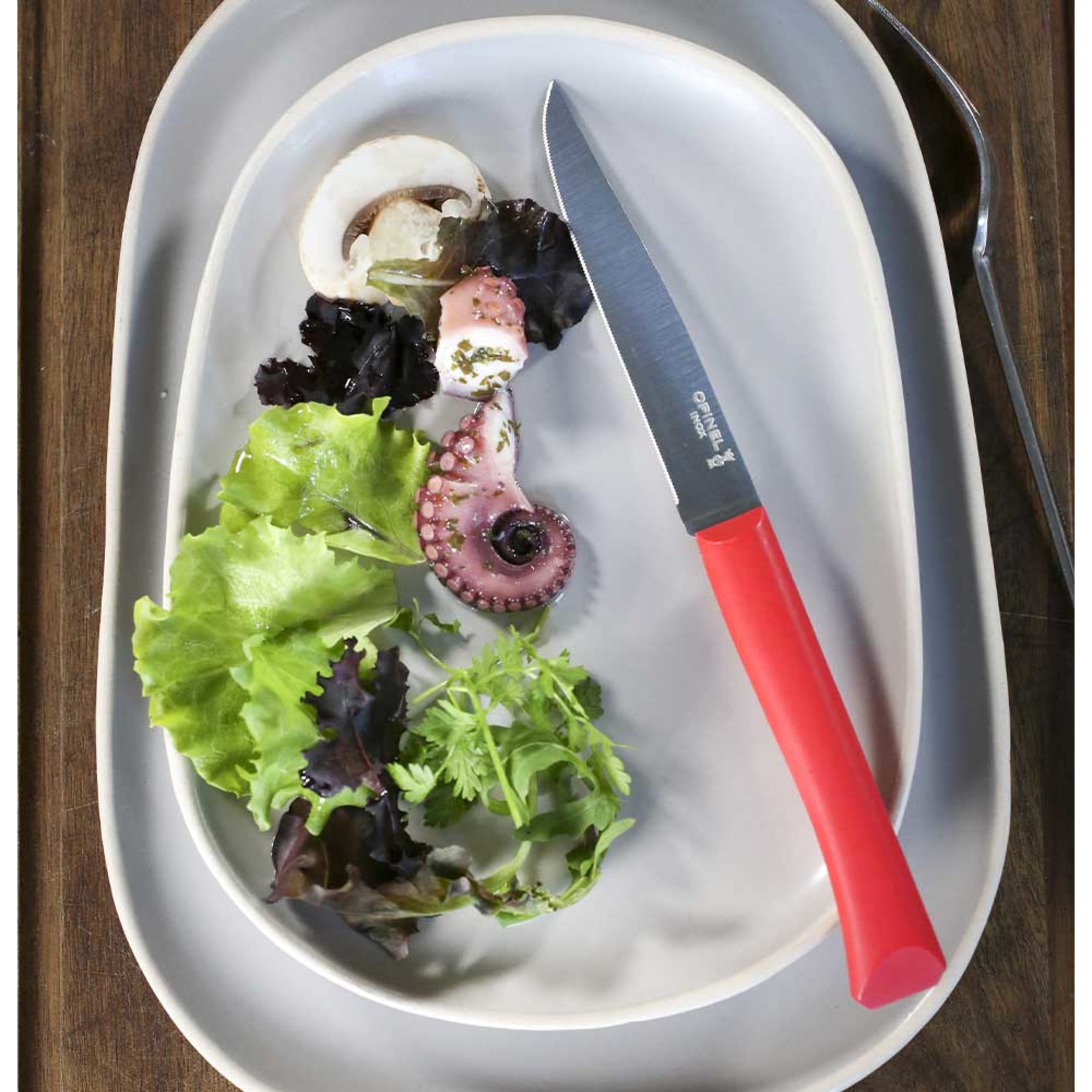 Opinel Bon Appétit Plus No.125 Table Knife Blue