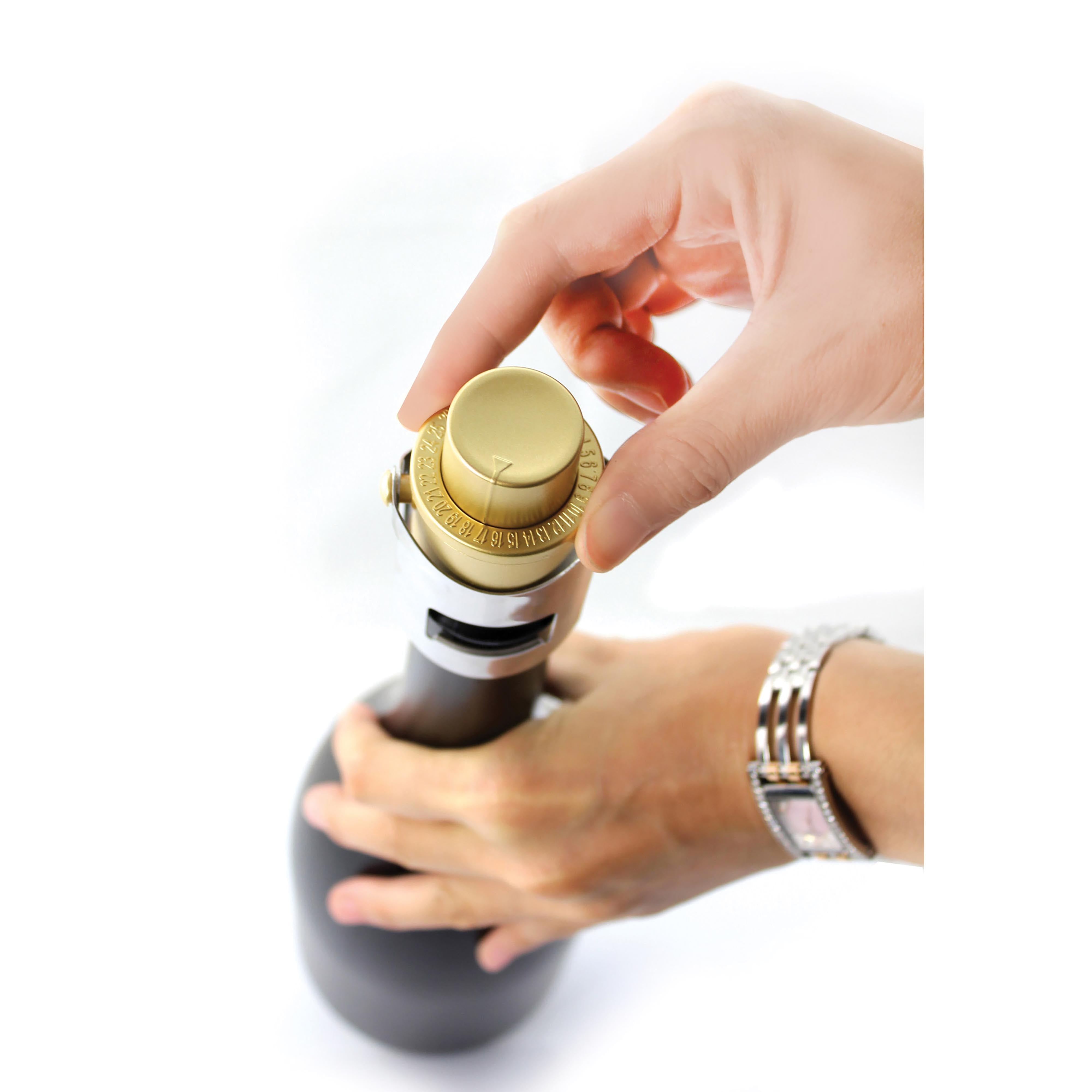 isGift Pump It Up Champagne Stopper