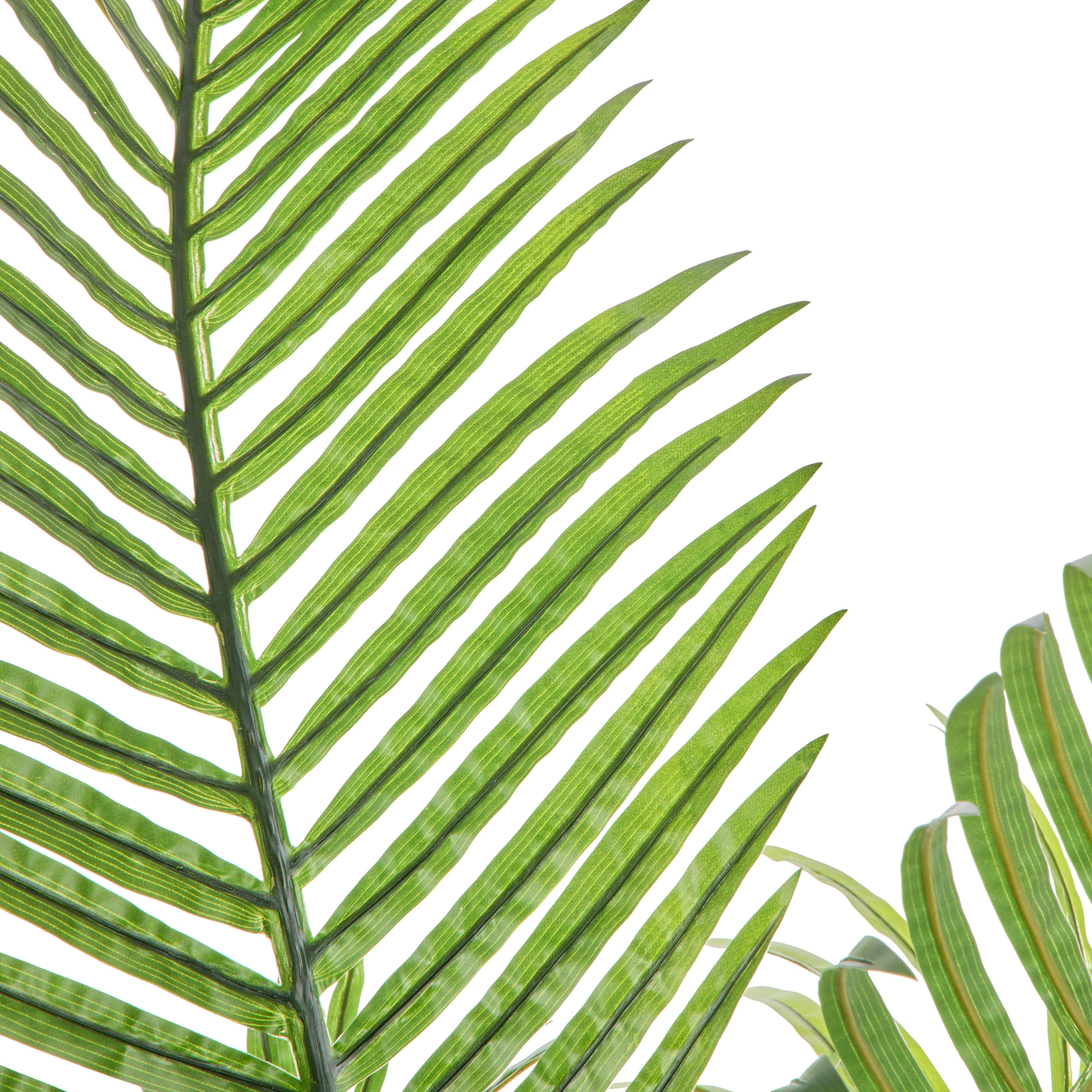 Rogue Areca Palm - Cylinder UV Green 145cm