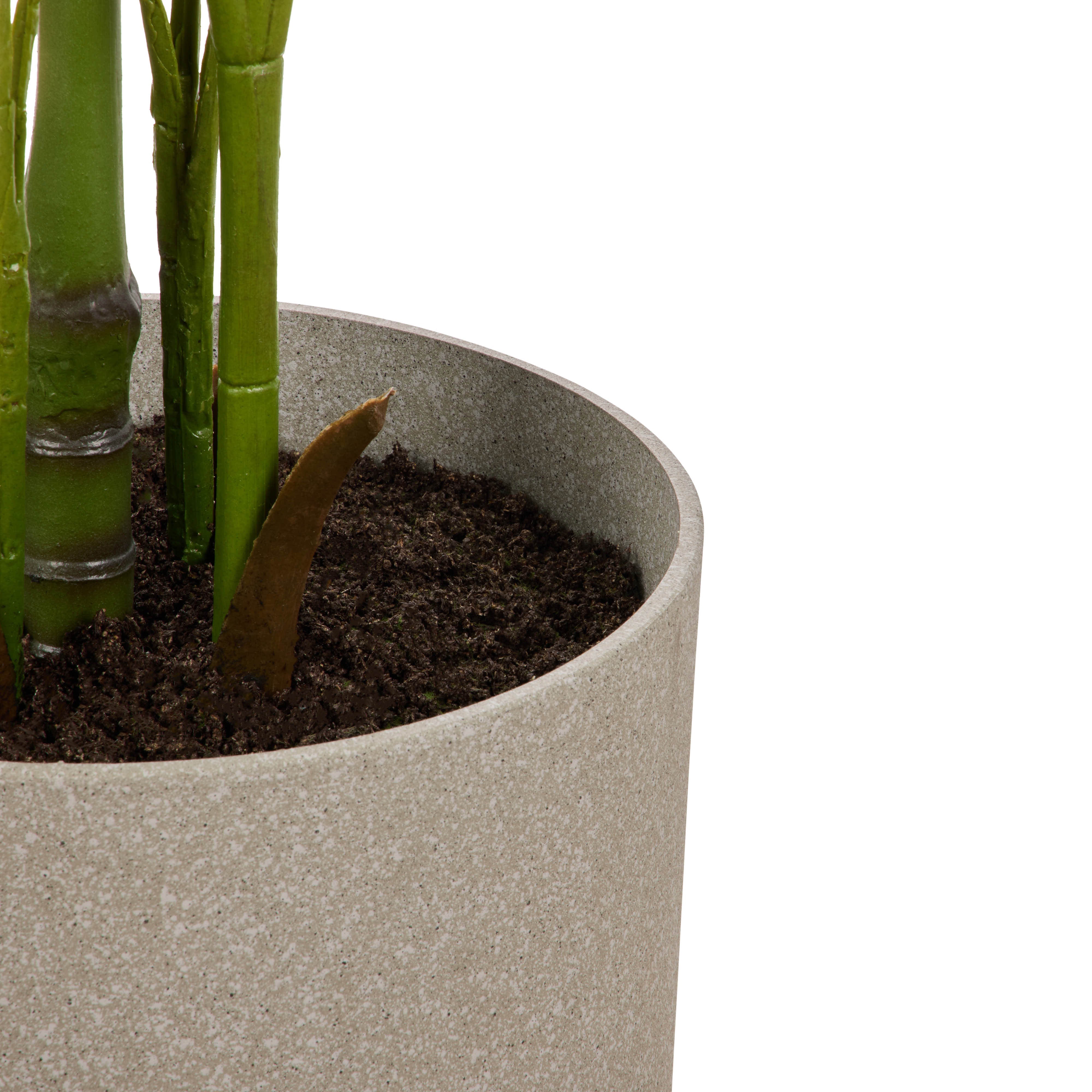 Rogue Areca Palm - Cylinder UV Green 189cm