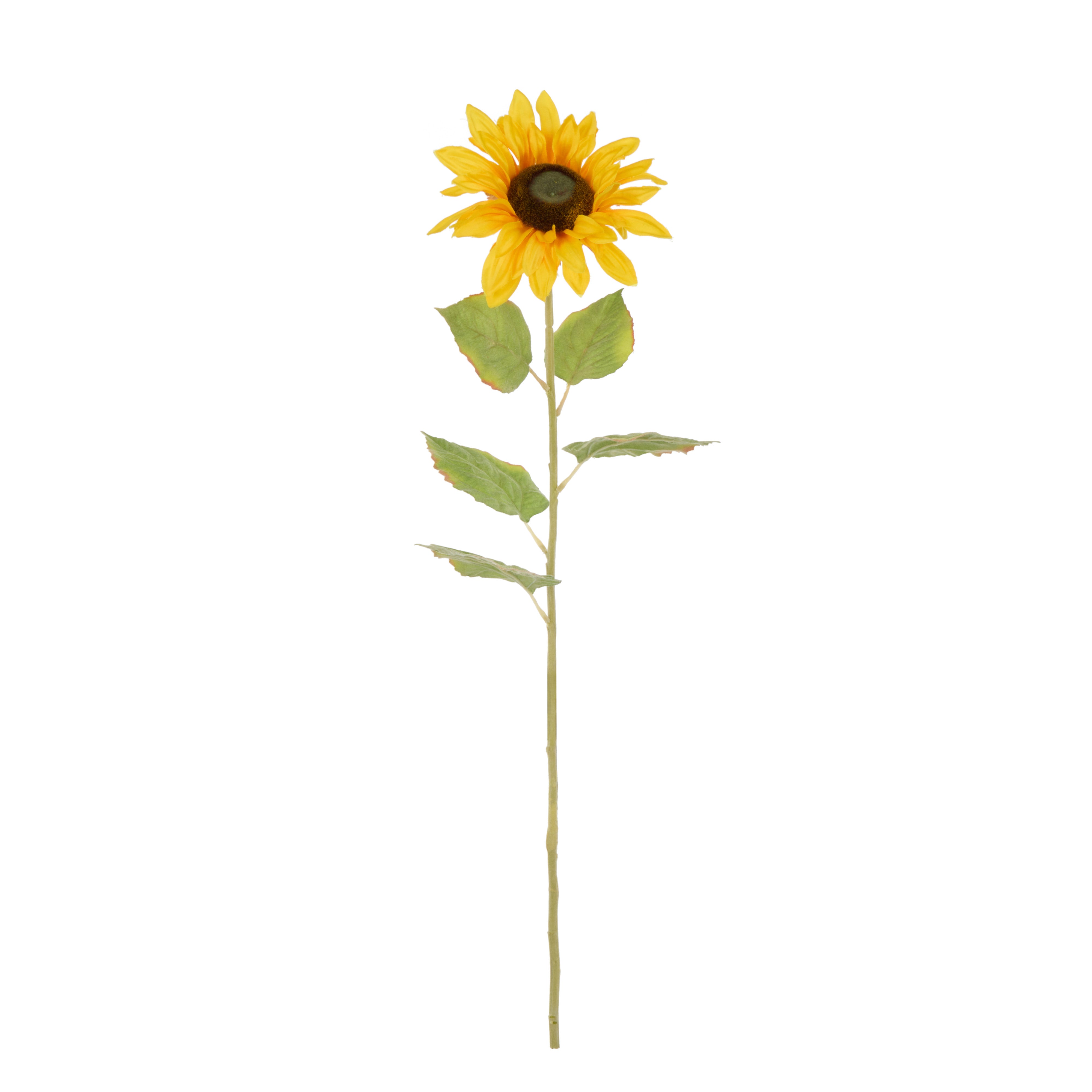 Rogue Sunflower Stem