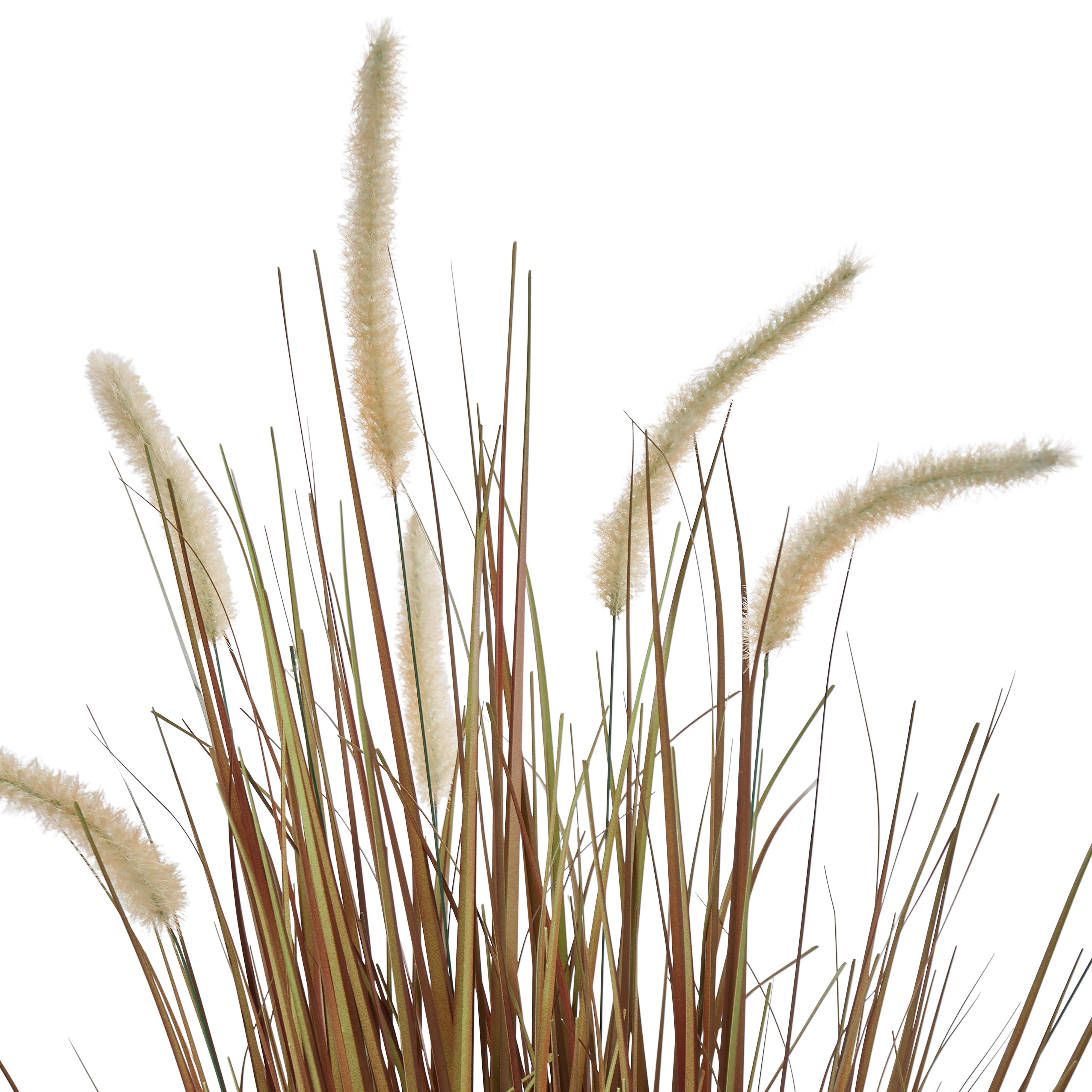 Rogue Grass Plant - Garden Pot Brown