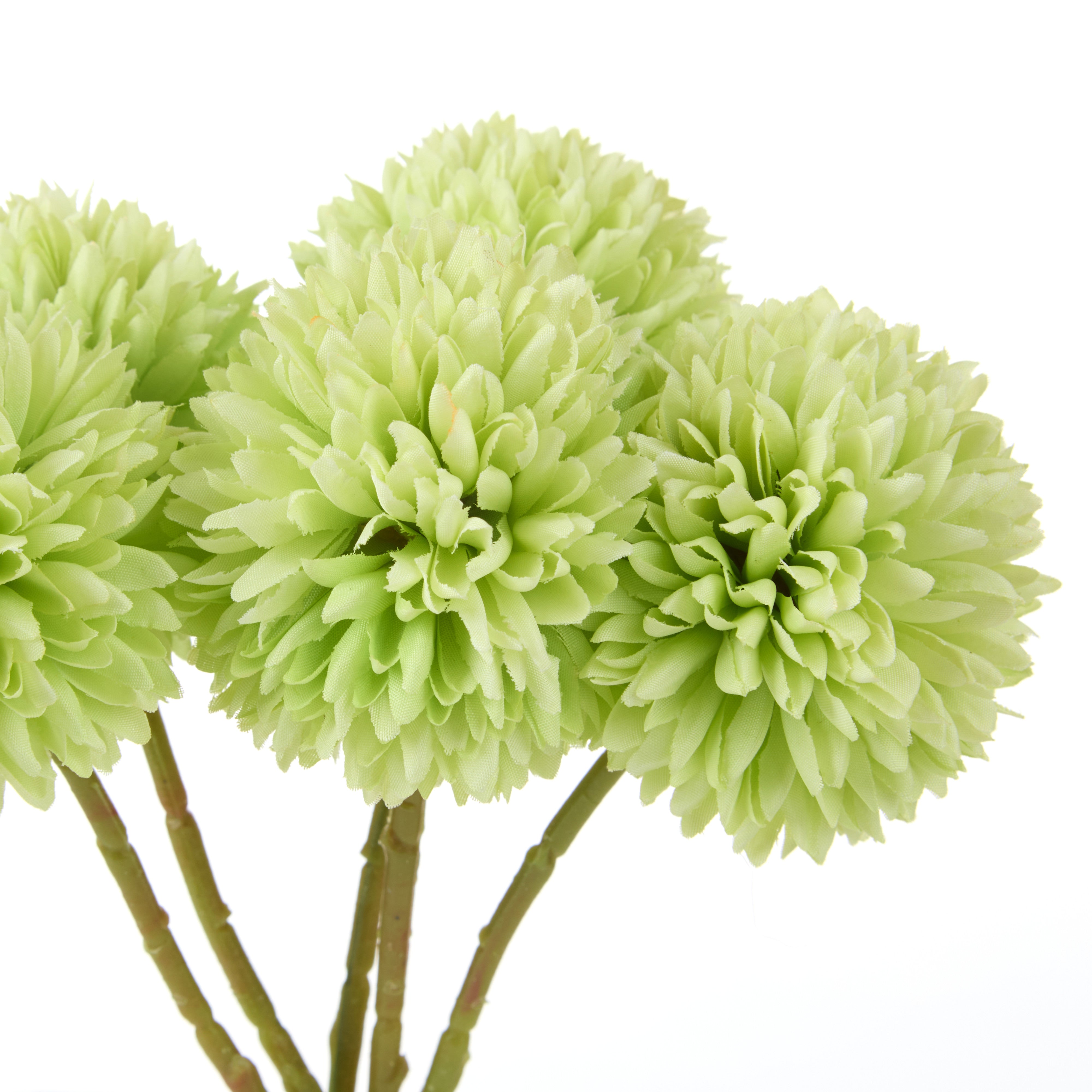 Rogue Kiku Bunch Green