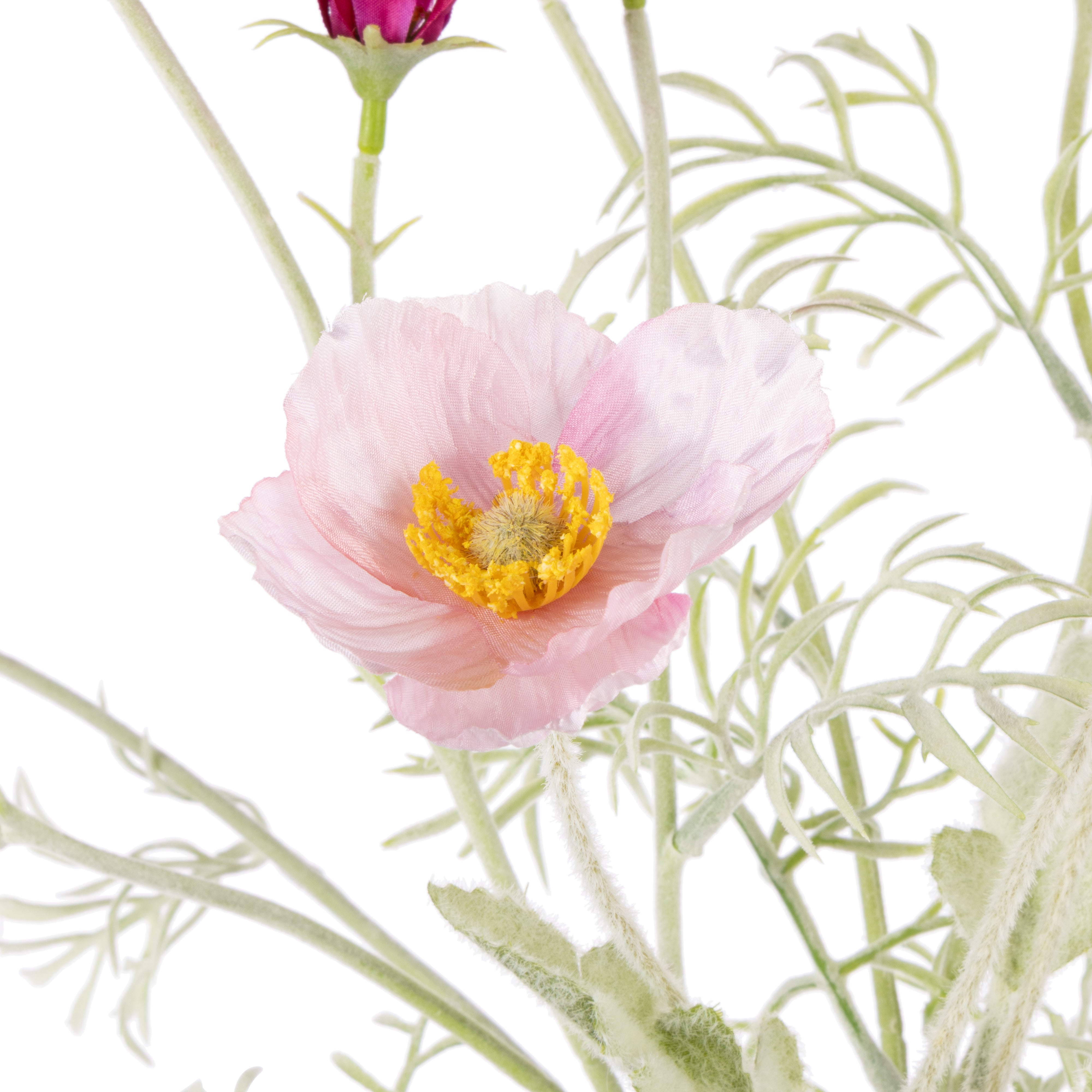 Rogue Poppy Cosmos Mix - Giselle Vase Pink & Purple & White