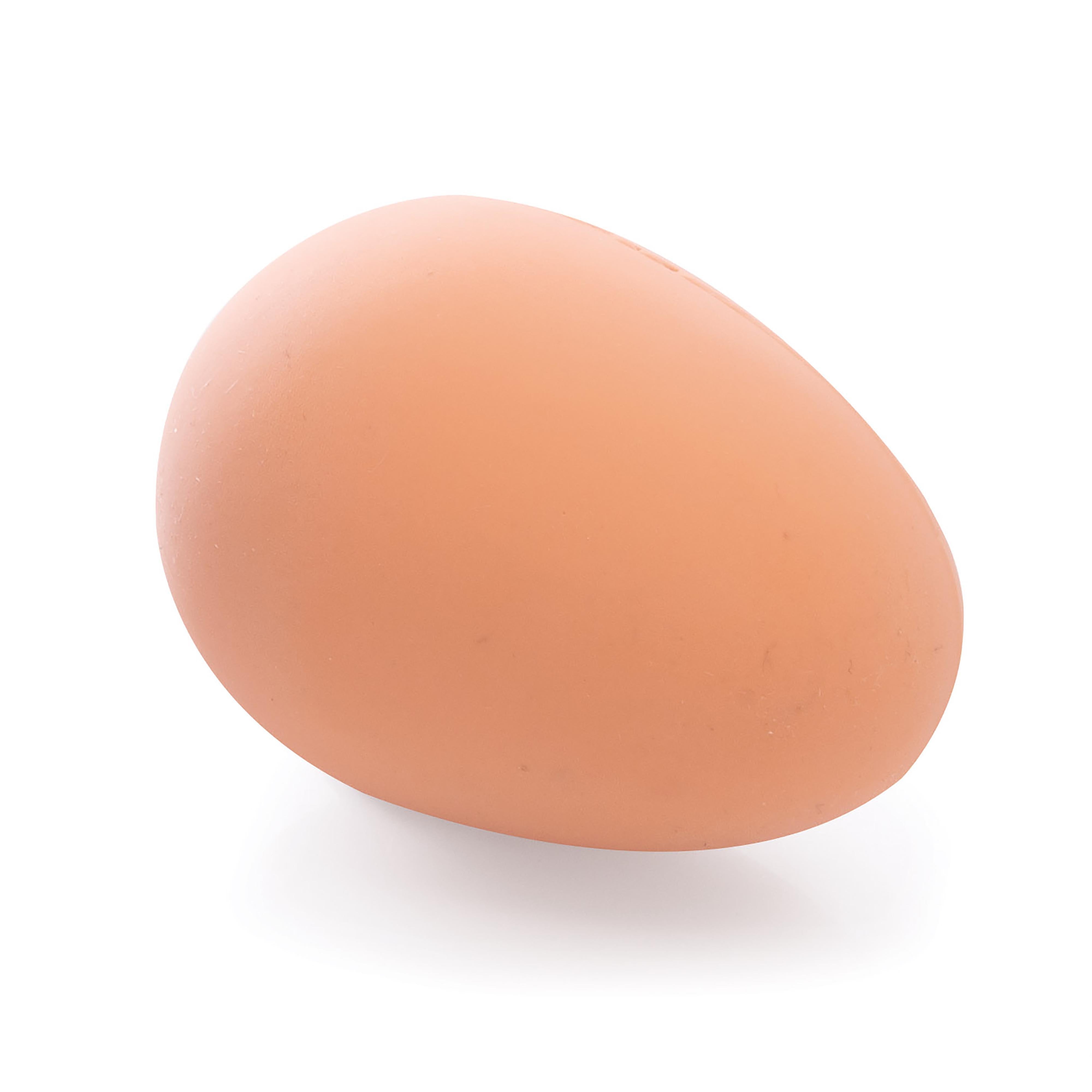 Discovery Zone Bouncing Egg