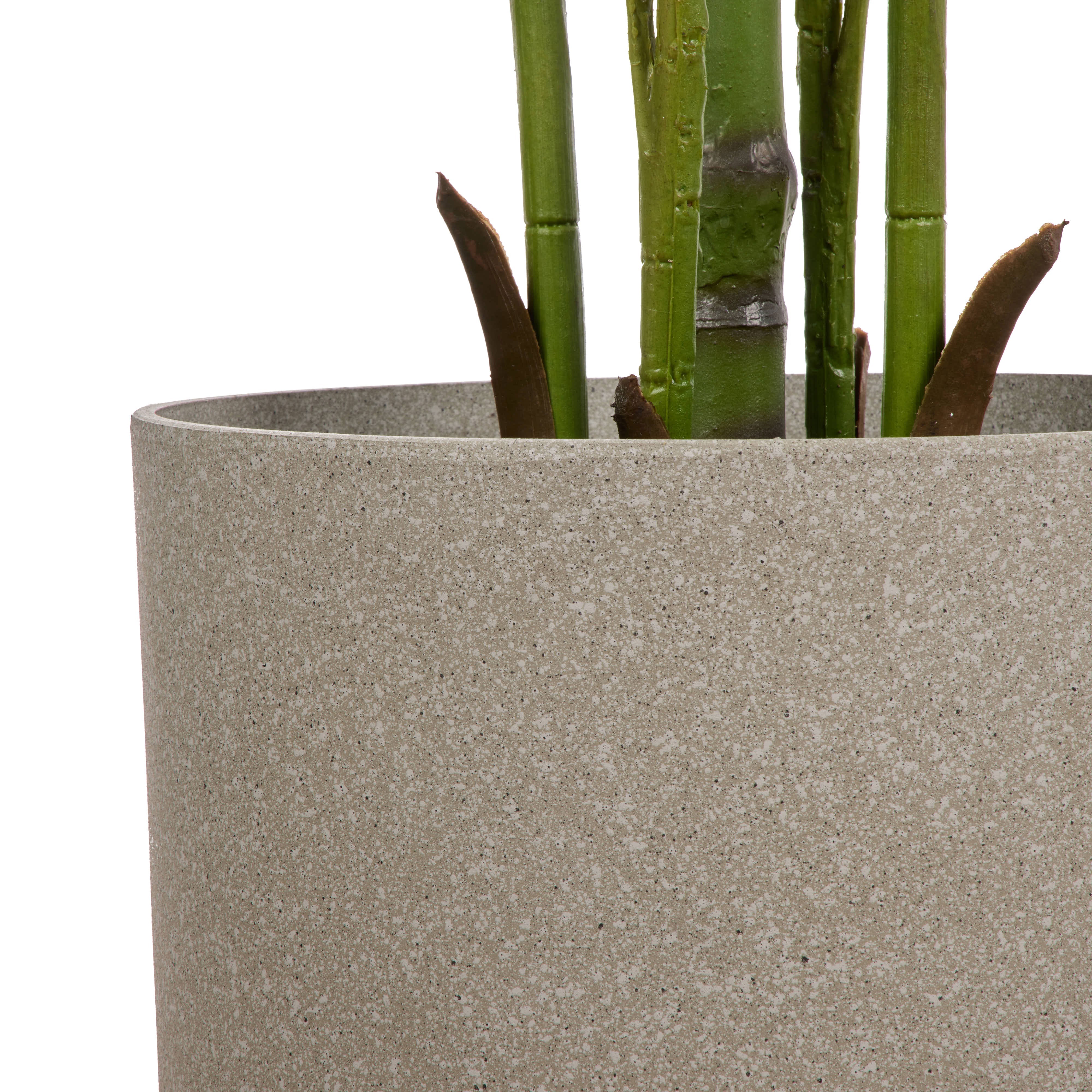 Rogue Areca Palm - Cylinder UV Green 189cm