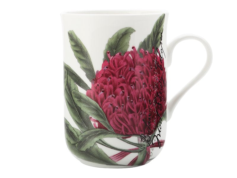 Maxwell & Williams Royal Botanic Gardens Australian Botanics Mug Telopea 300ml