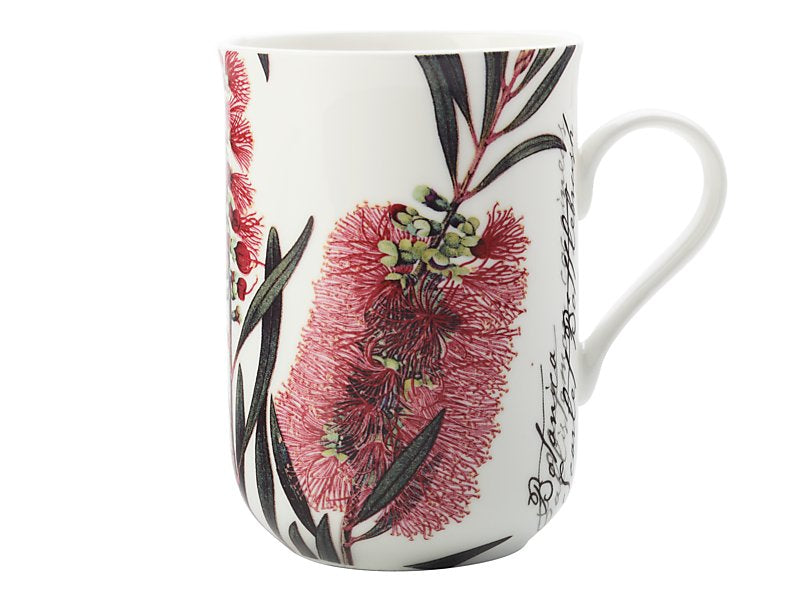 Maxwell & Williams Royal Botanic Gardens Australian Botanics Mug Bottlebrush 300ml