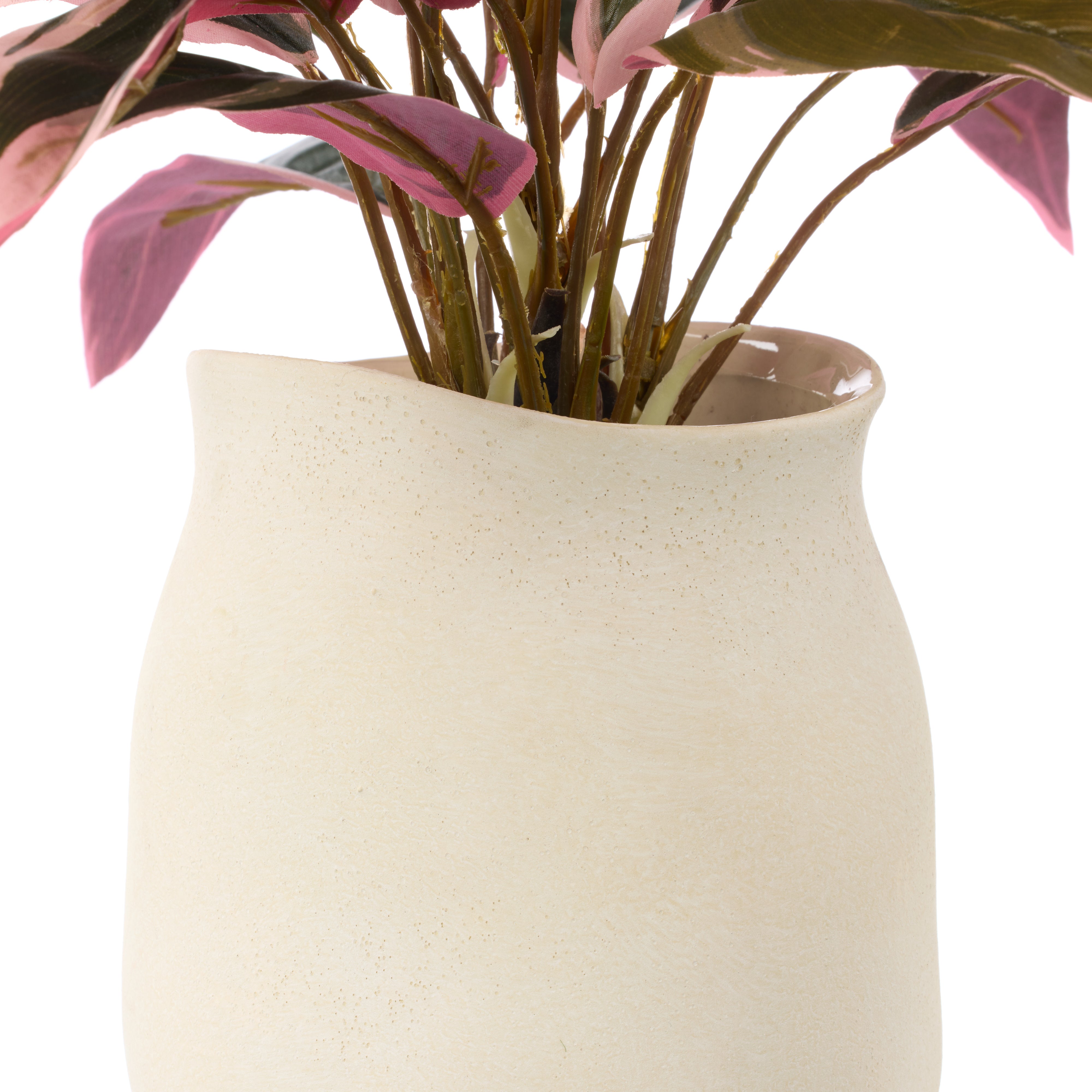 Rogue Cordyline Plant - Maliah Pot Pink & Green