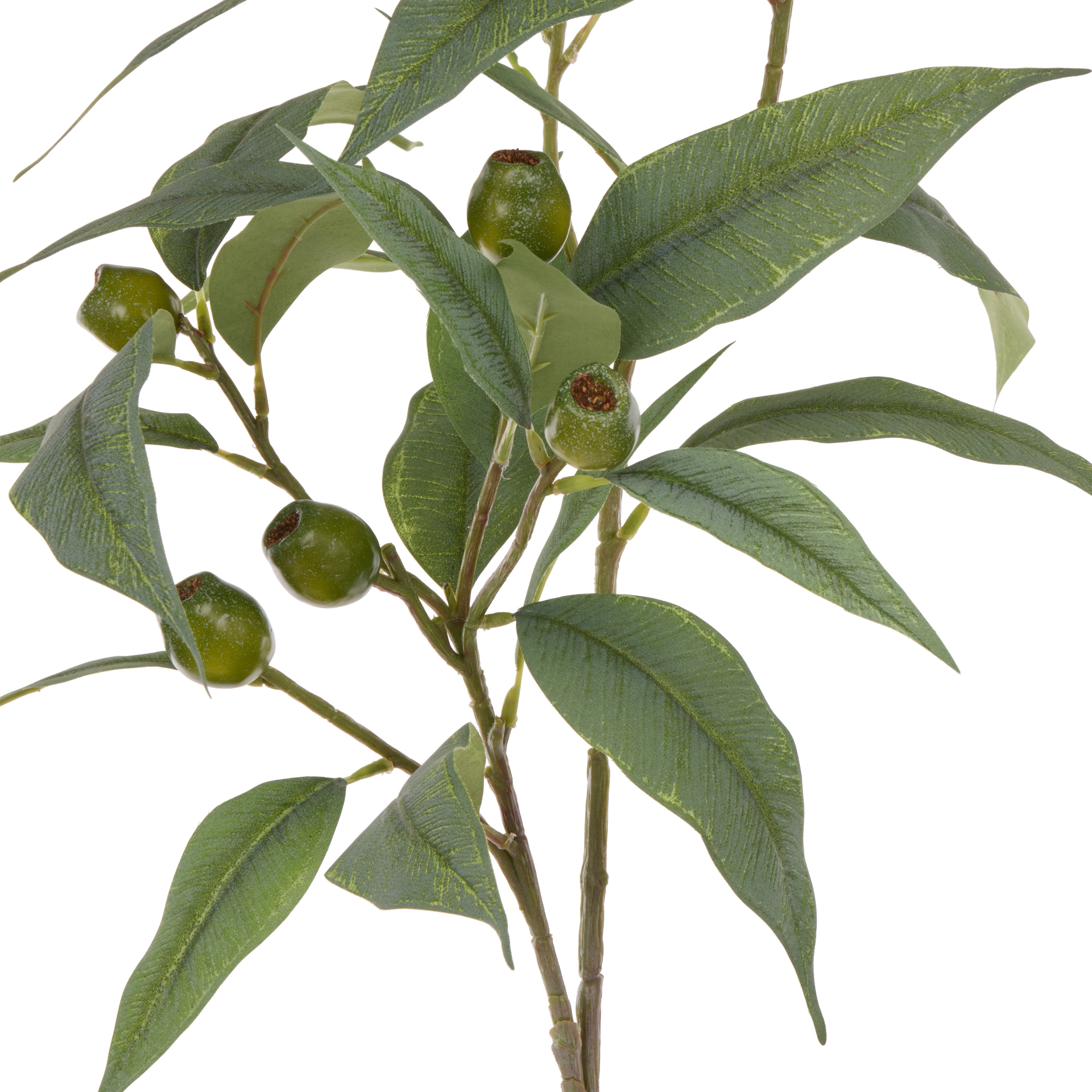 Rogue Eucalyptus Gumnut Spray 79cm