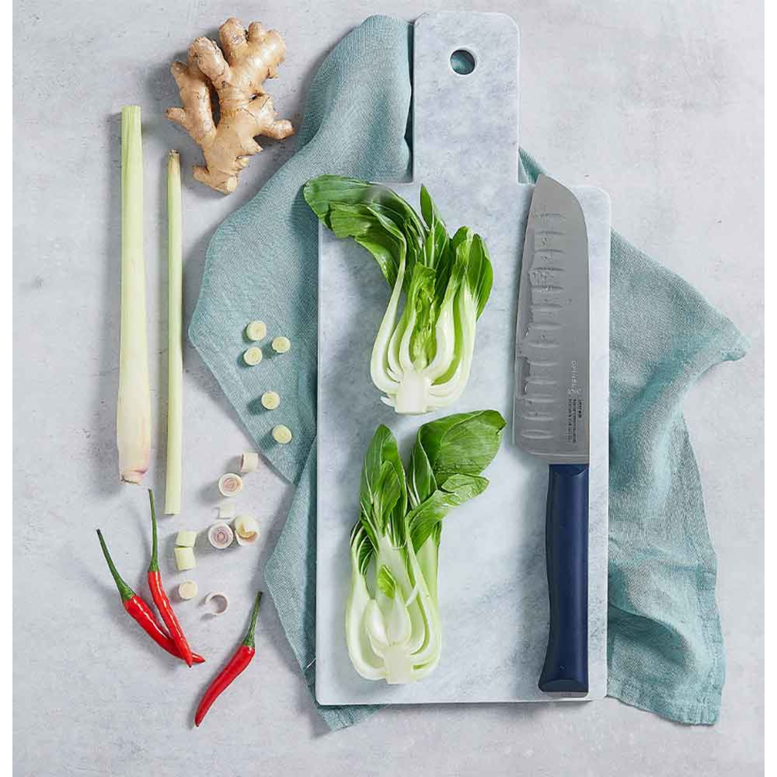 Opinel Intempora No.219 Santoku Knife