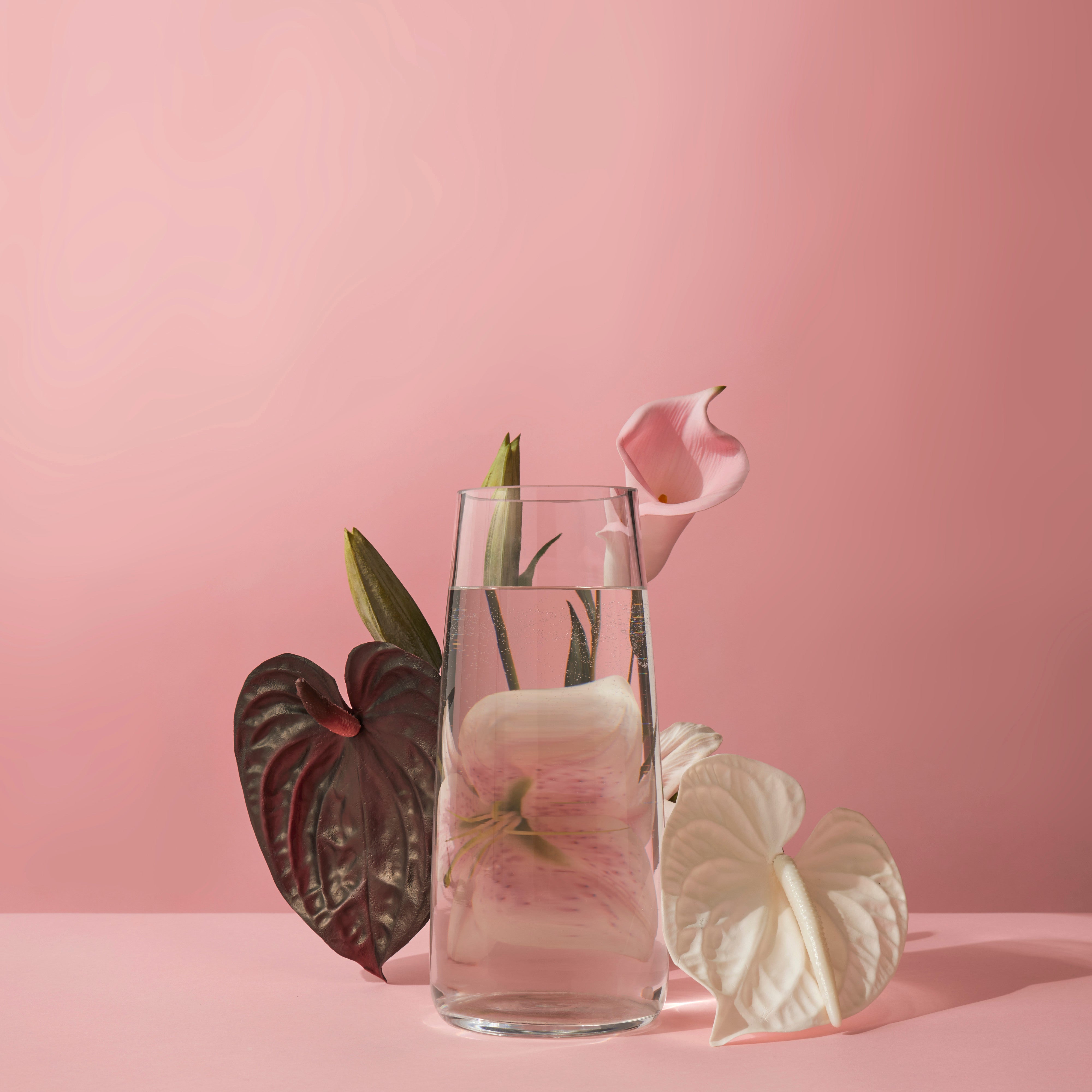 Rogue Anthurium Stem White