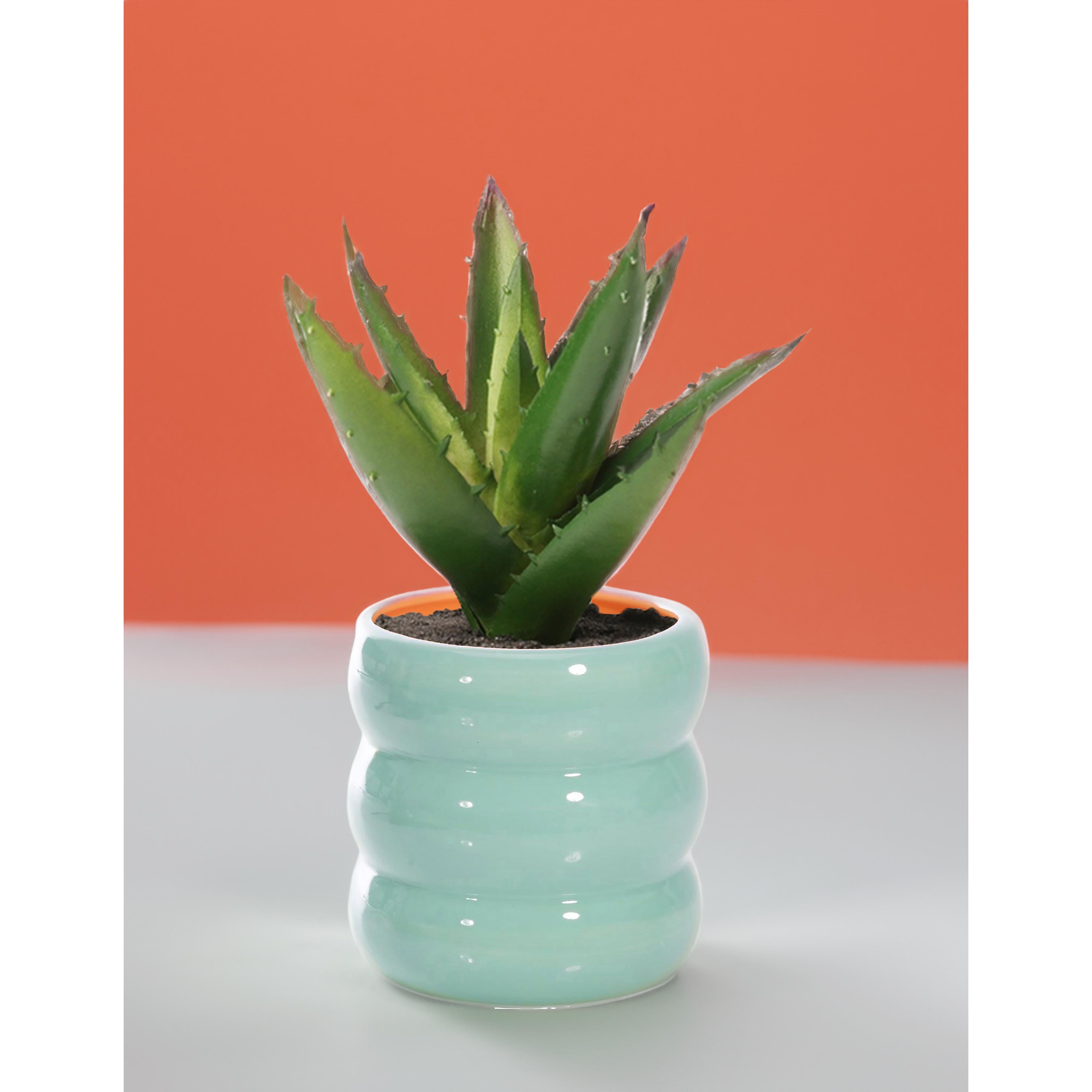 isGift Happy Mondays Plant Pot Assorted