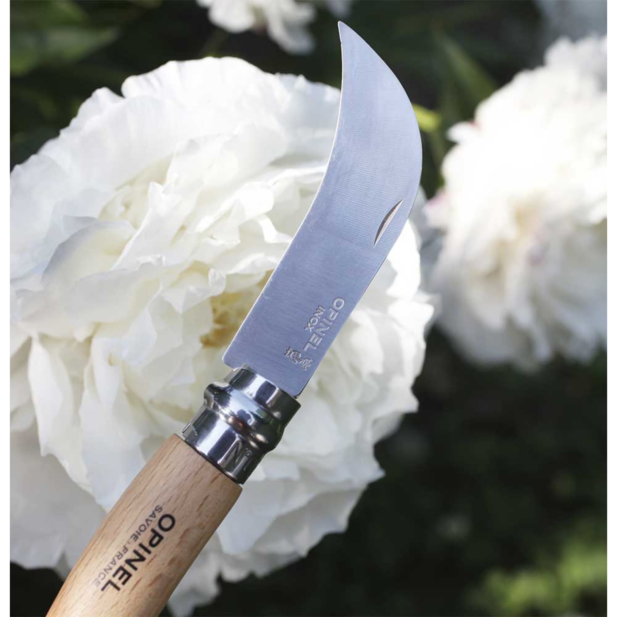 Opinel No.08 Stainless Steel Pruning Knife Beech (Blister Pack)