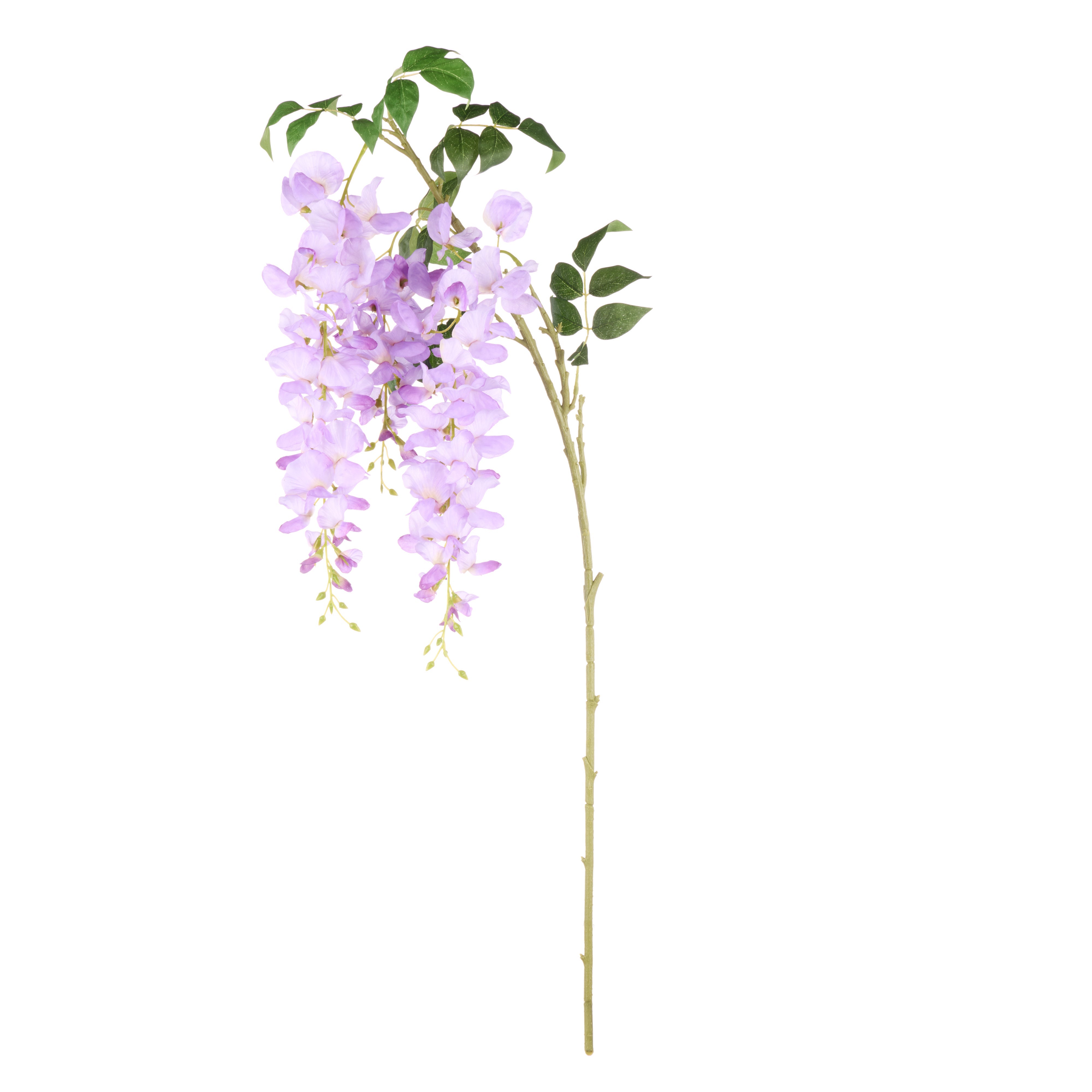 Rogue Wisteria Spray Lilac