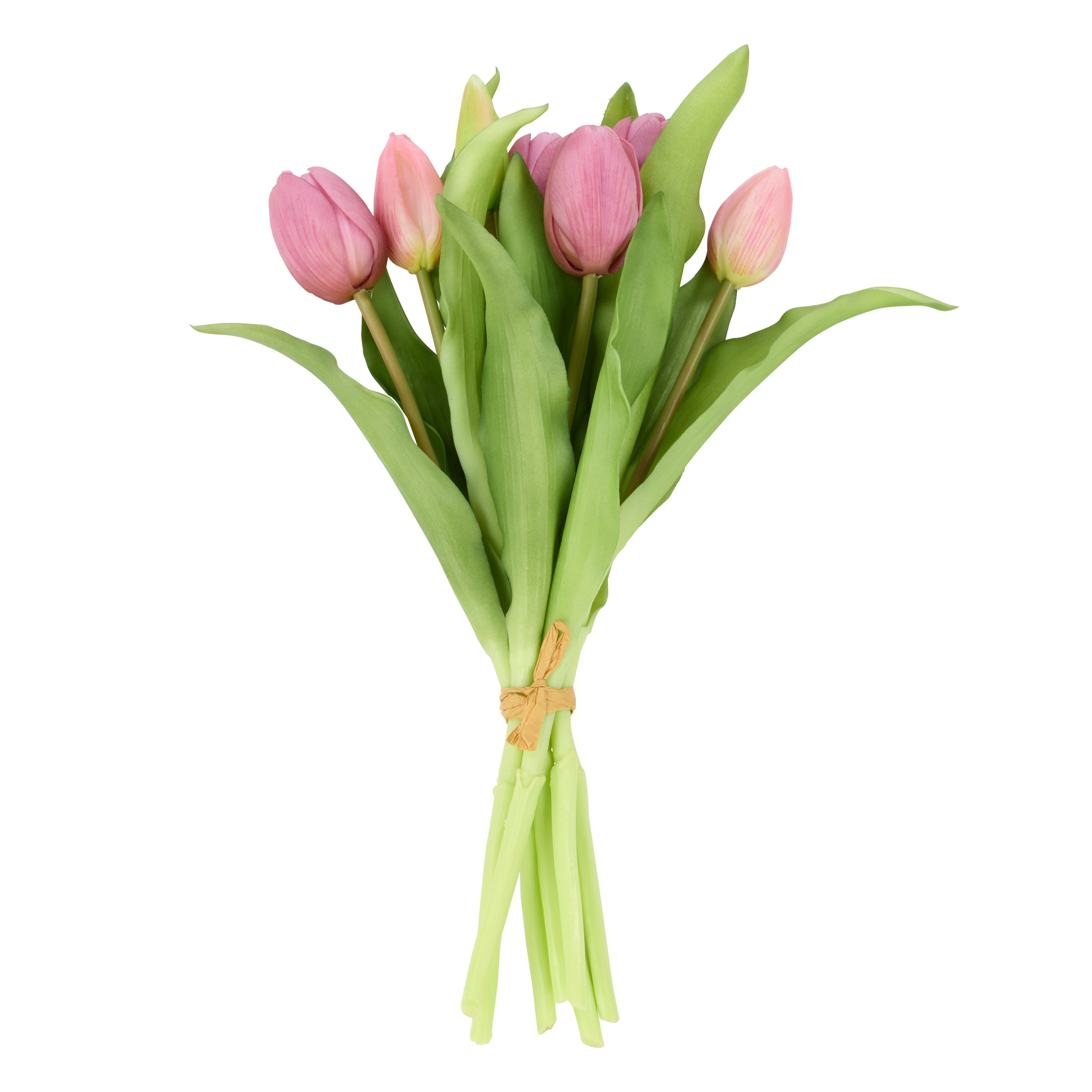 Rogue Tulip Bunch Pink 30cm