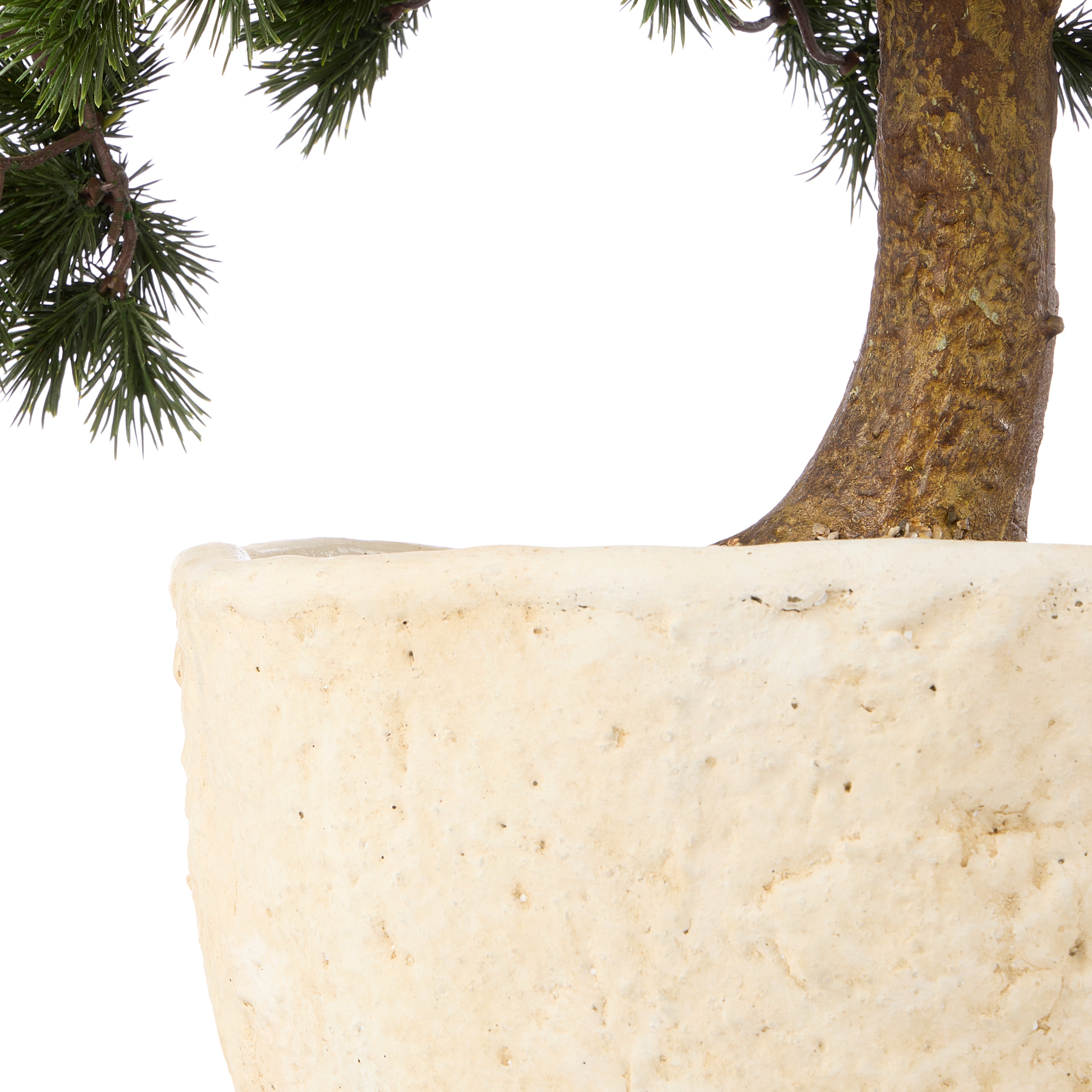 Rogue Pine Bonsai Small Textured Cement Pot Green