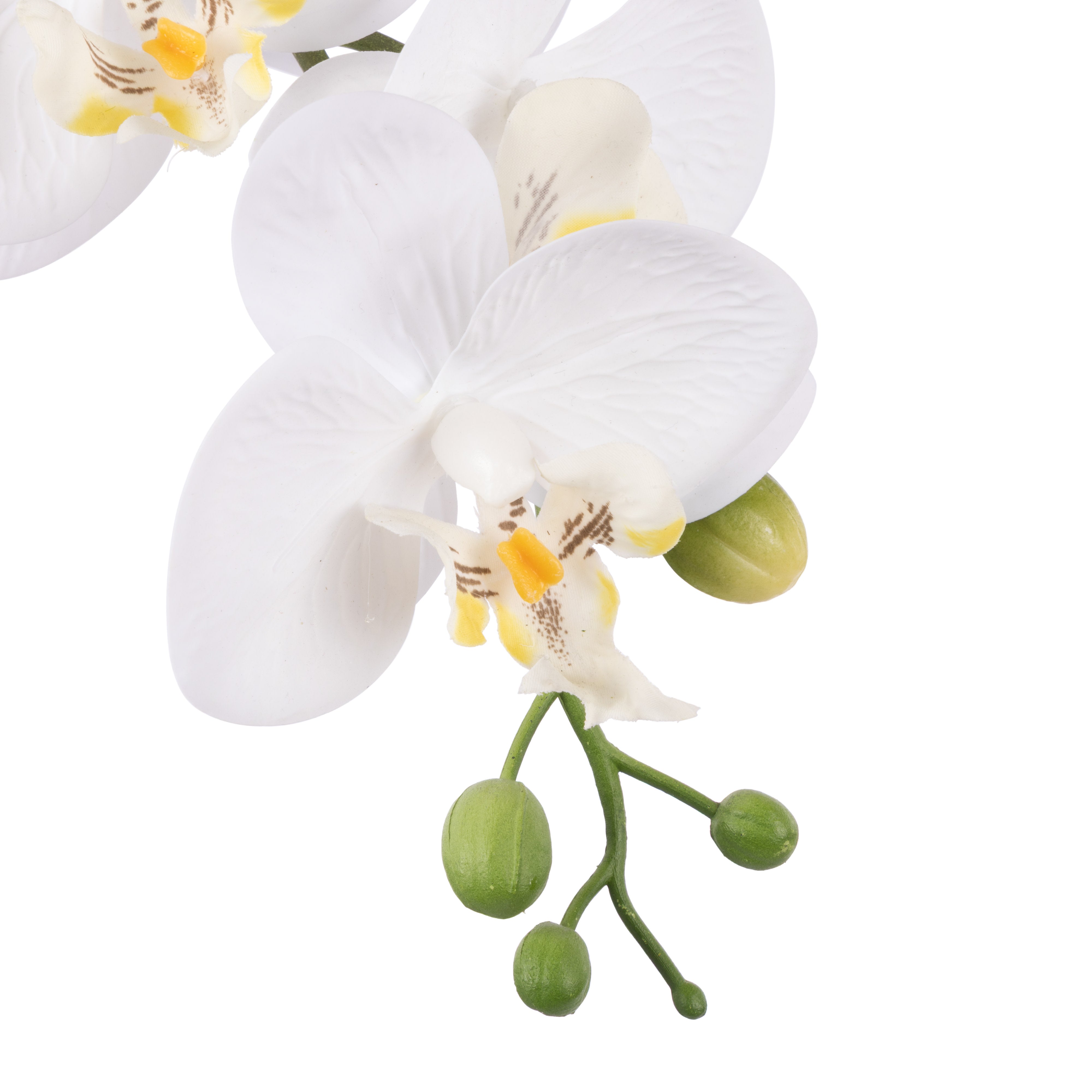 Rogue Phalaenopsis Orchid - Textured Round Pot 48cm