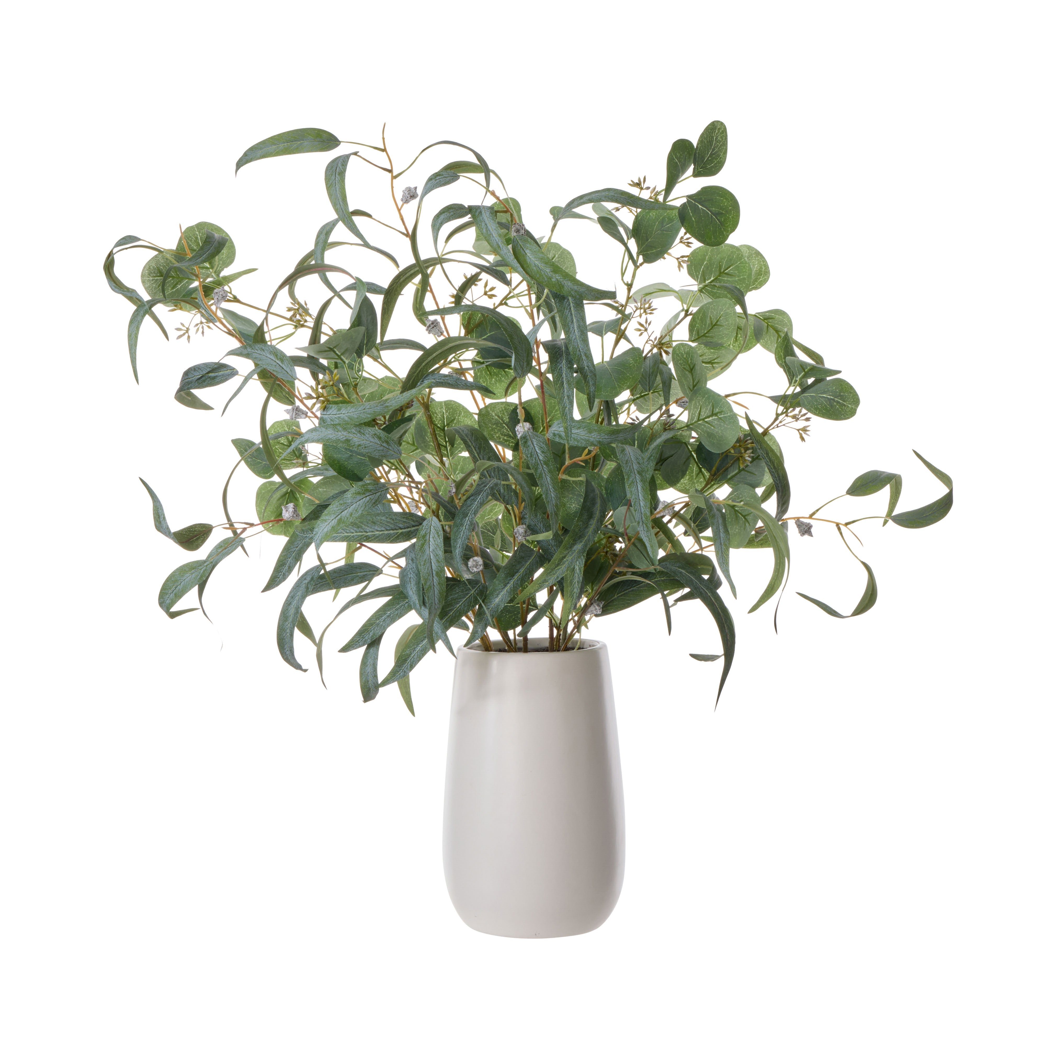 Rogue Eucalyptus Gumnut - Apollo 64cm