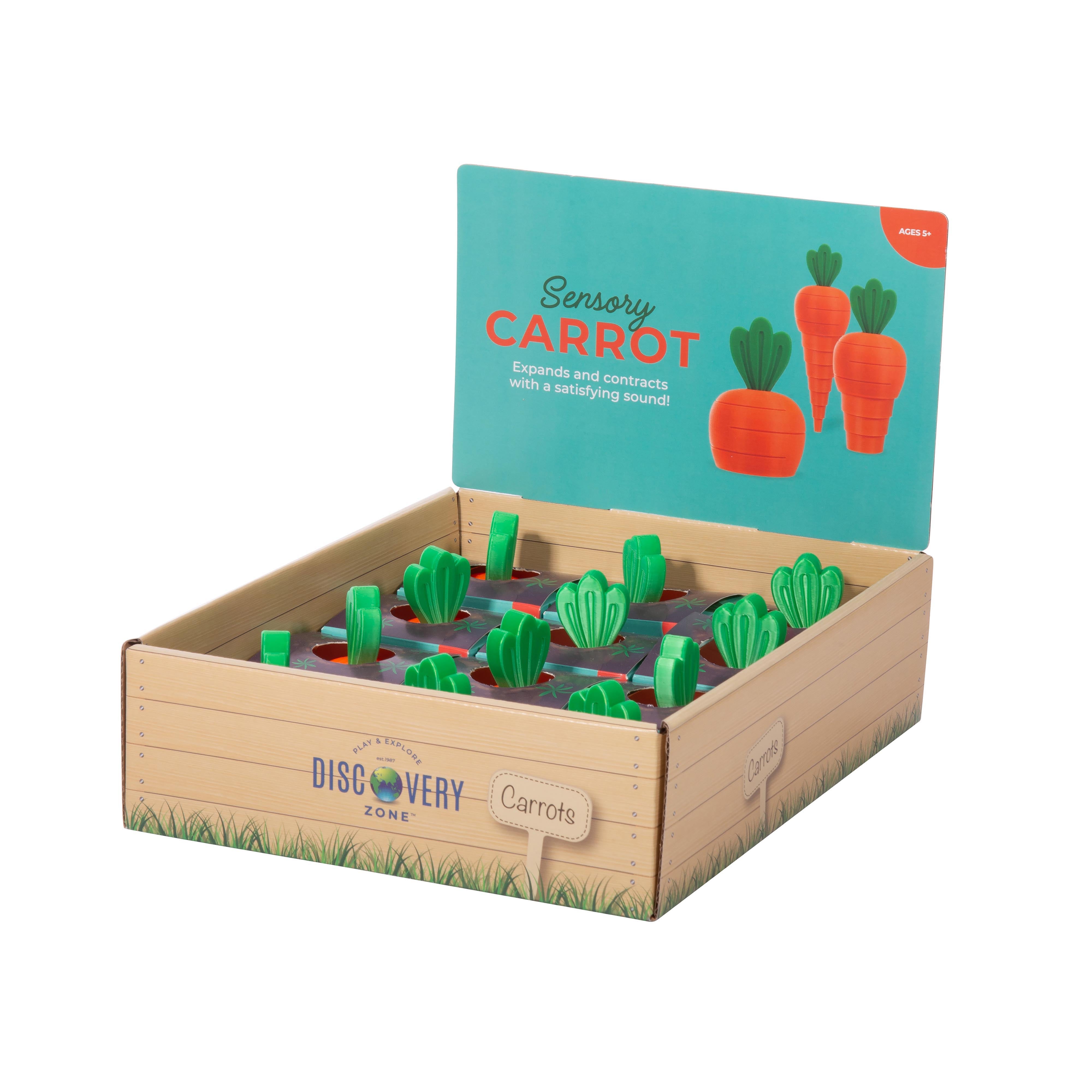 Discovery Zone 3D Sensory Carrot