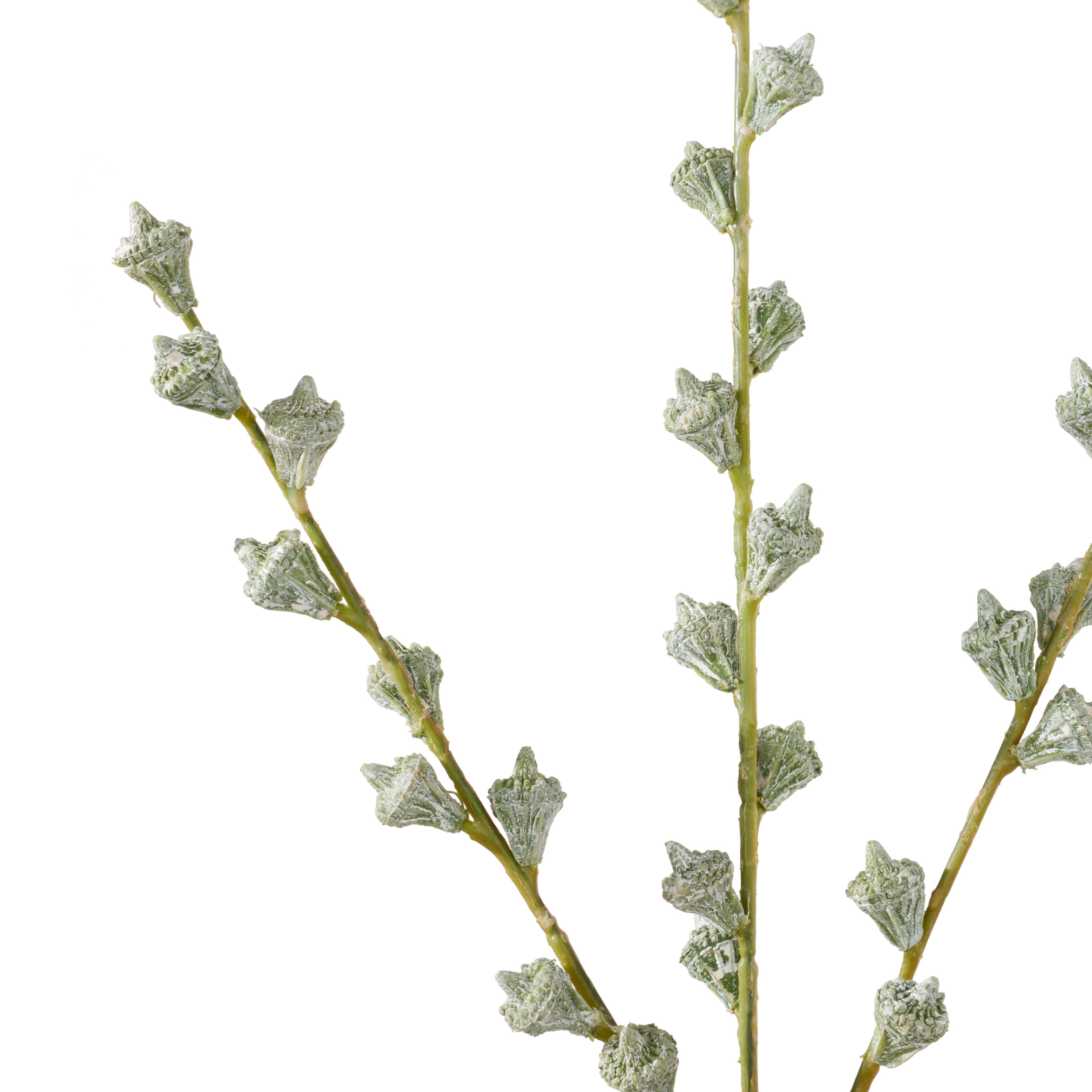 Rogue Eucalyptus Gumnut Spray Green & White