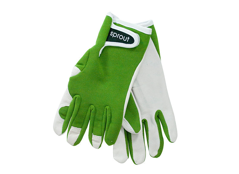 Annabel Trends Sprout Goatskin Gloves Olive