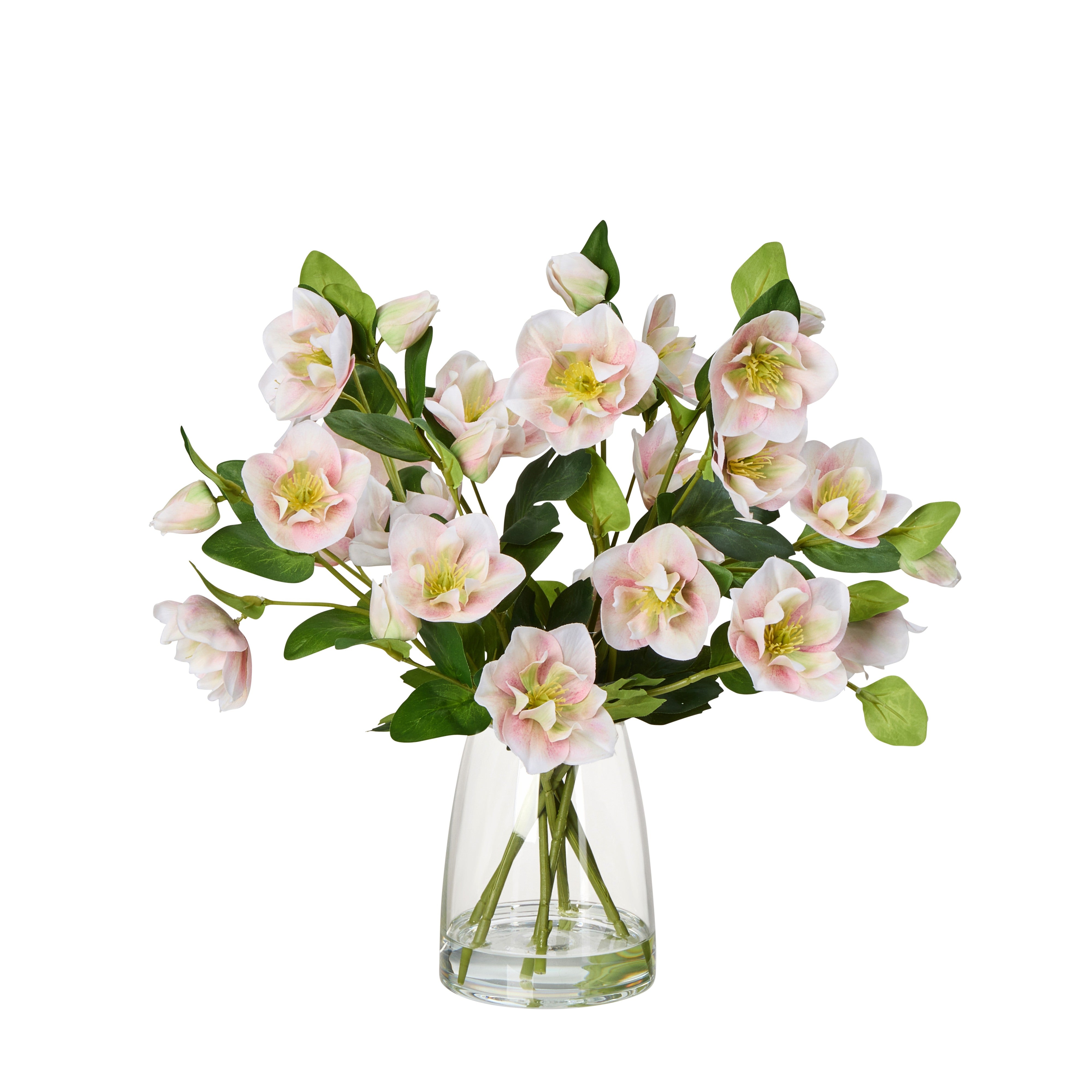 Rogue Helleborus - Glass Vase Pink 43 x 43cm
