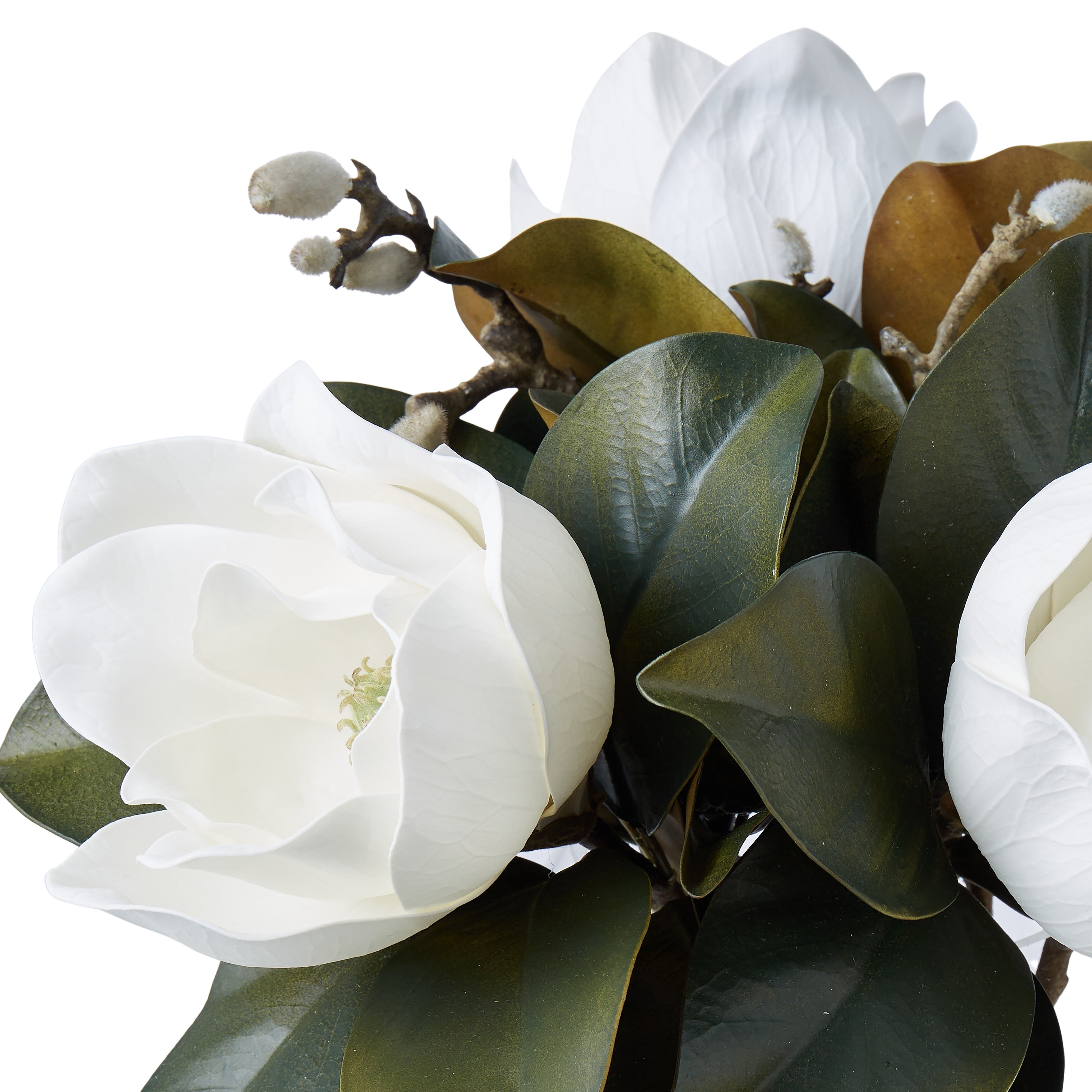 Rogue Magnolia Grandiflora - Garden Vase White