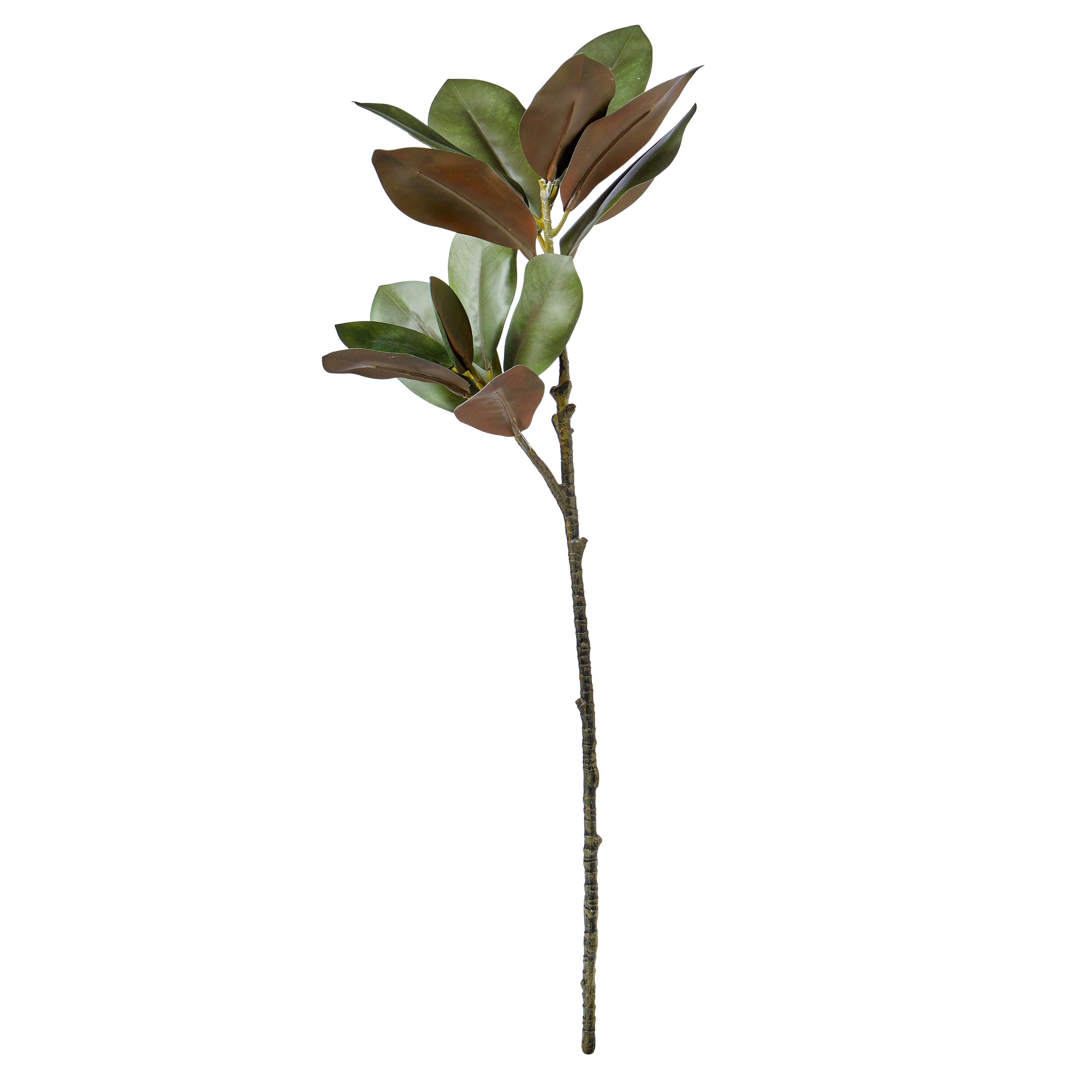 Rogue Magnolia Foliage 83cm