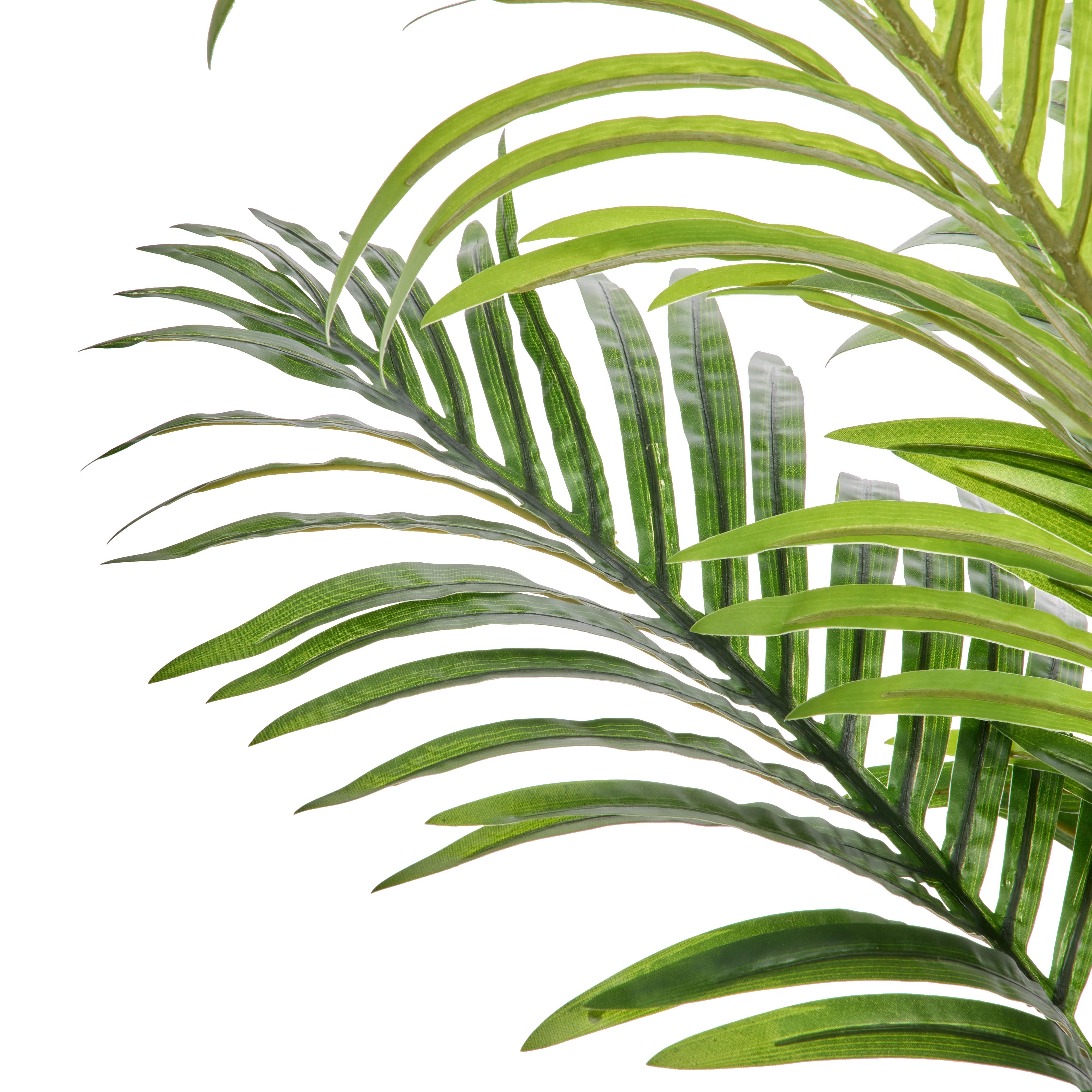 Rogue Areca Palm - Cylinder UV Green 145cm