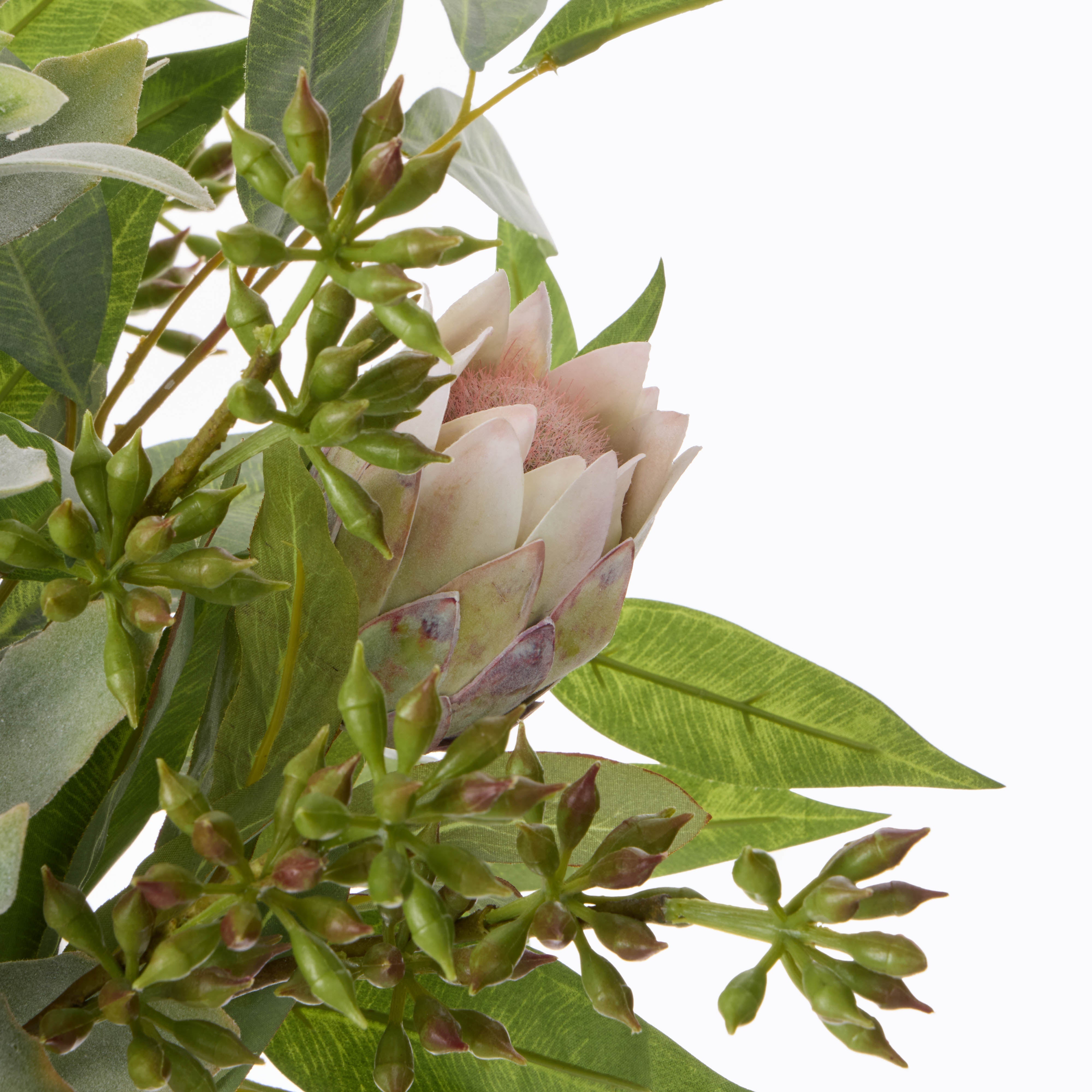 Rogue Australis Protea Eucalyptus Mix - Maliah Pot White 48cm