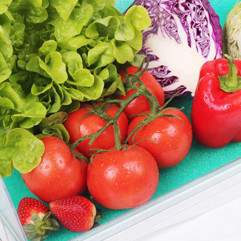 White Magic Stay Fresh Fridge Mat Antibacterial