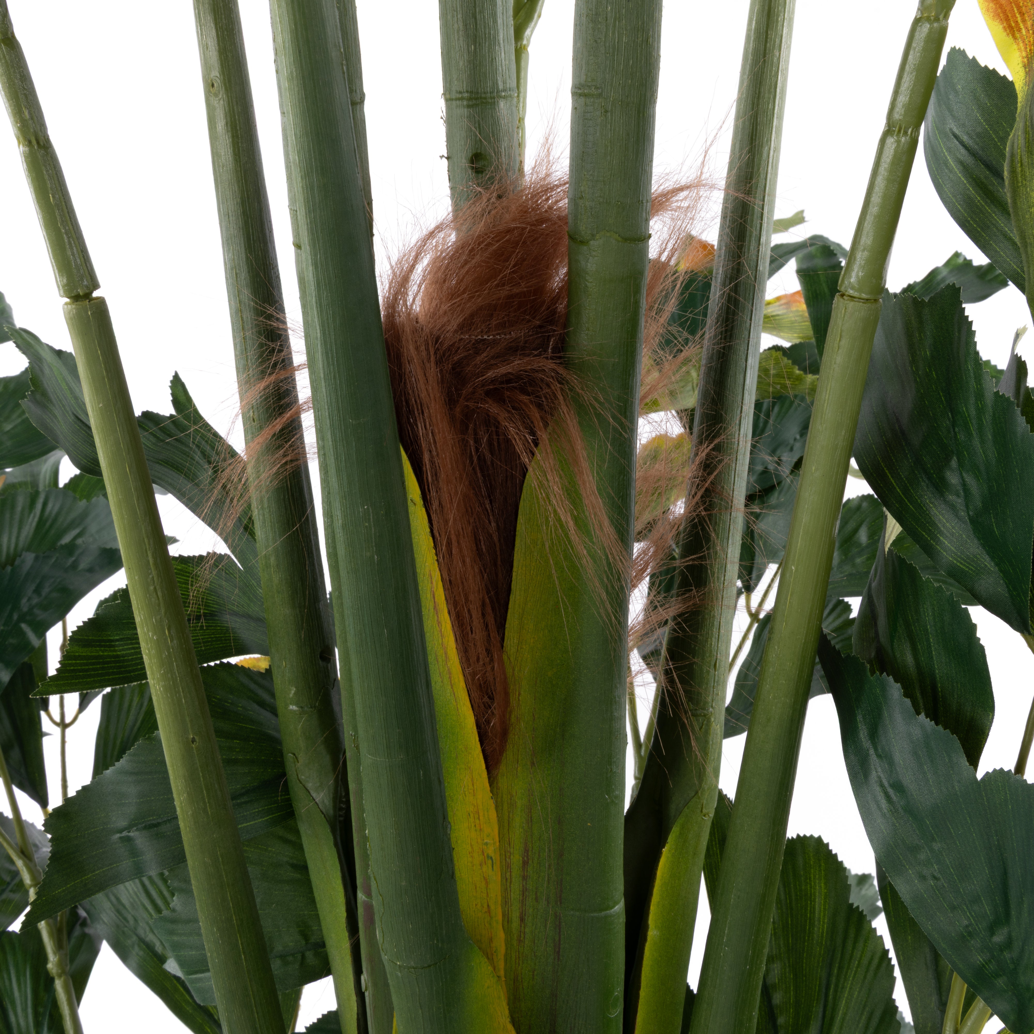 Rogue Caryota Palm - Ryker Planter