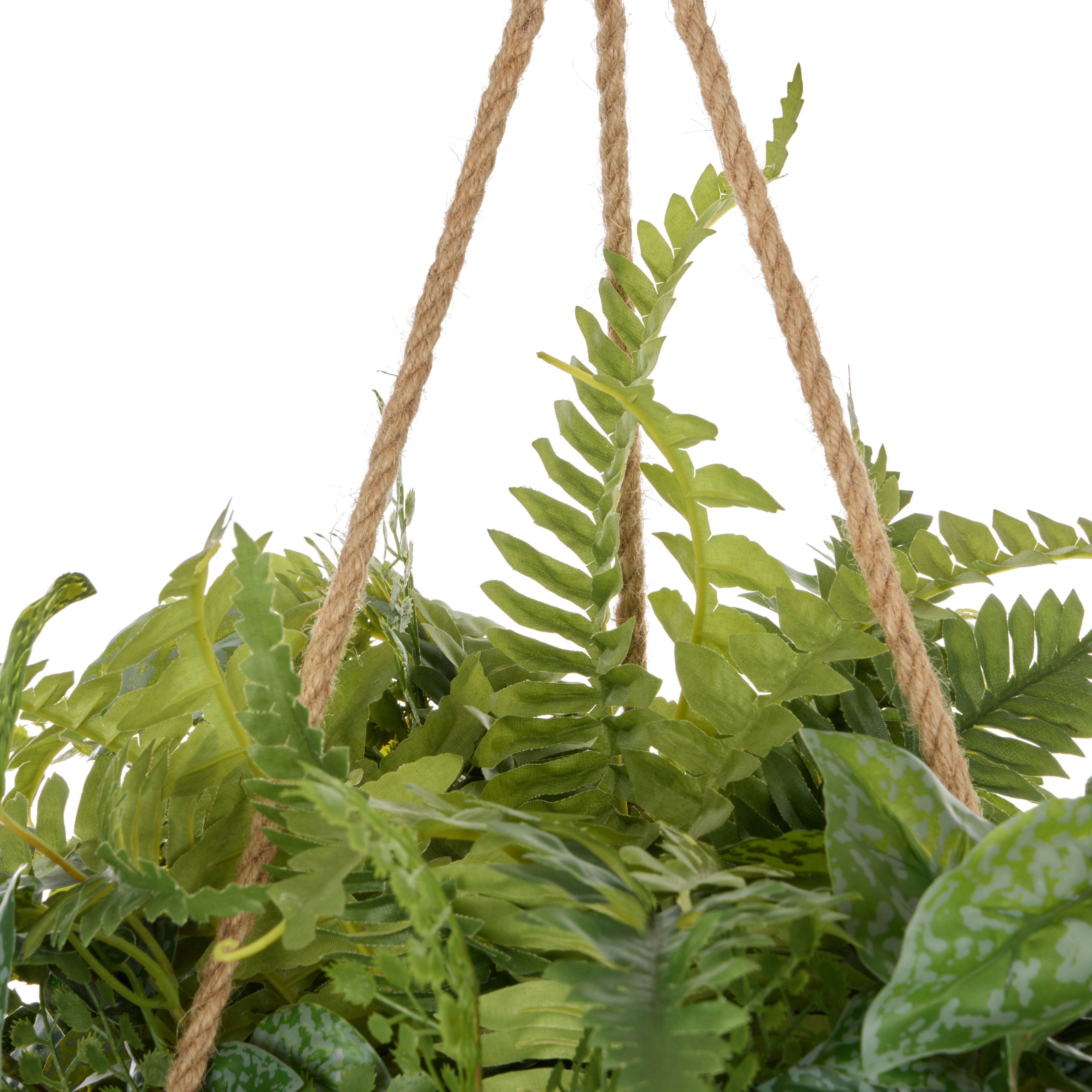 Rogue Fern Garden Mix - Laos Hanging 126cm