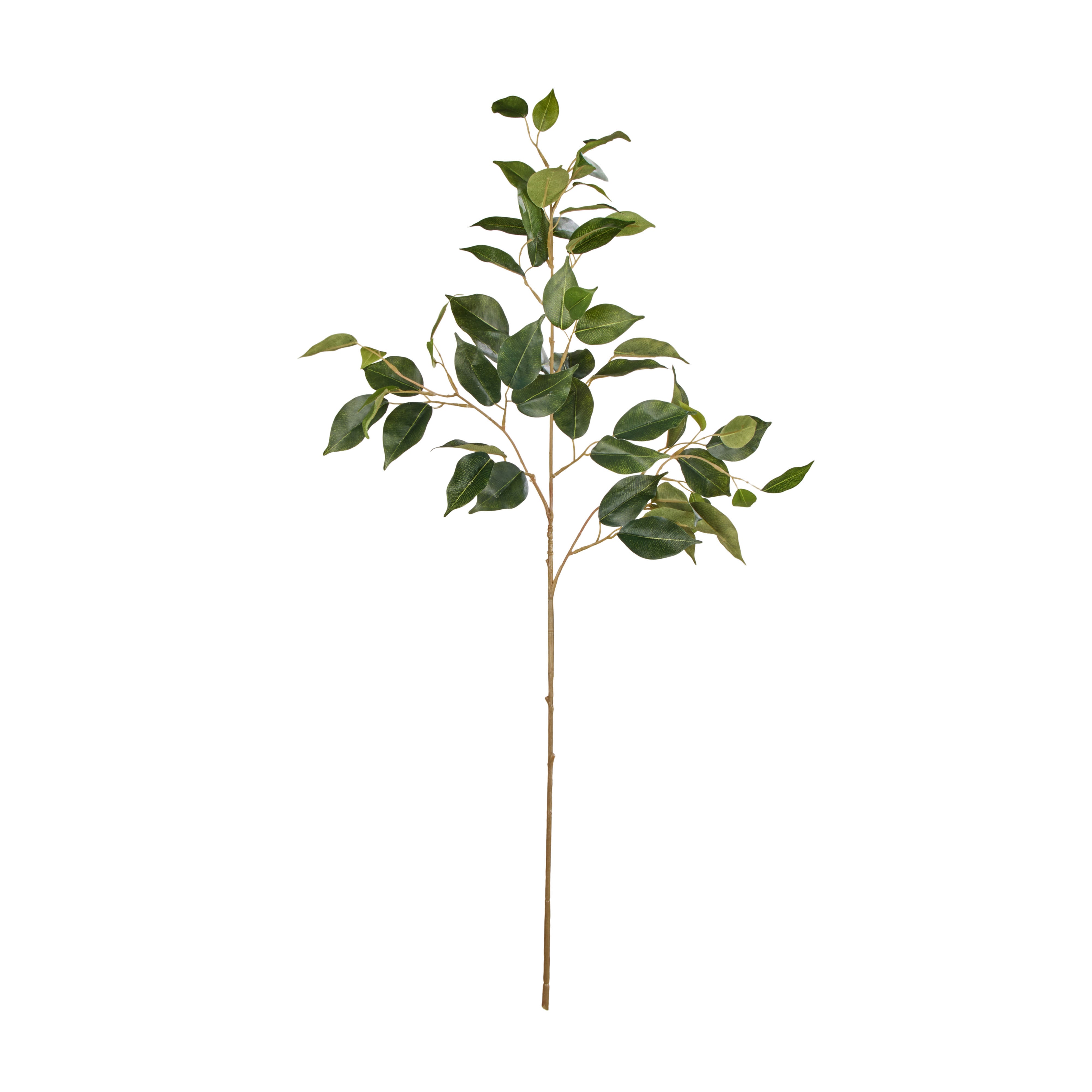 Rogue Ficus Spray 84cm