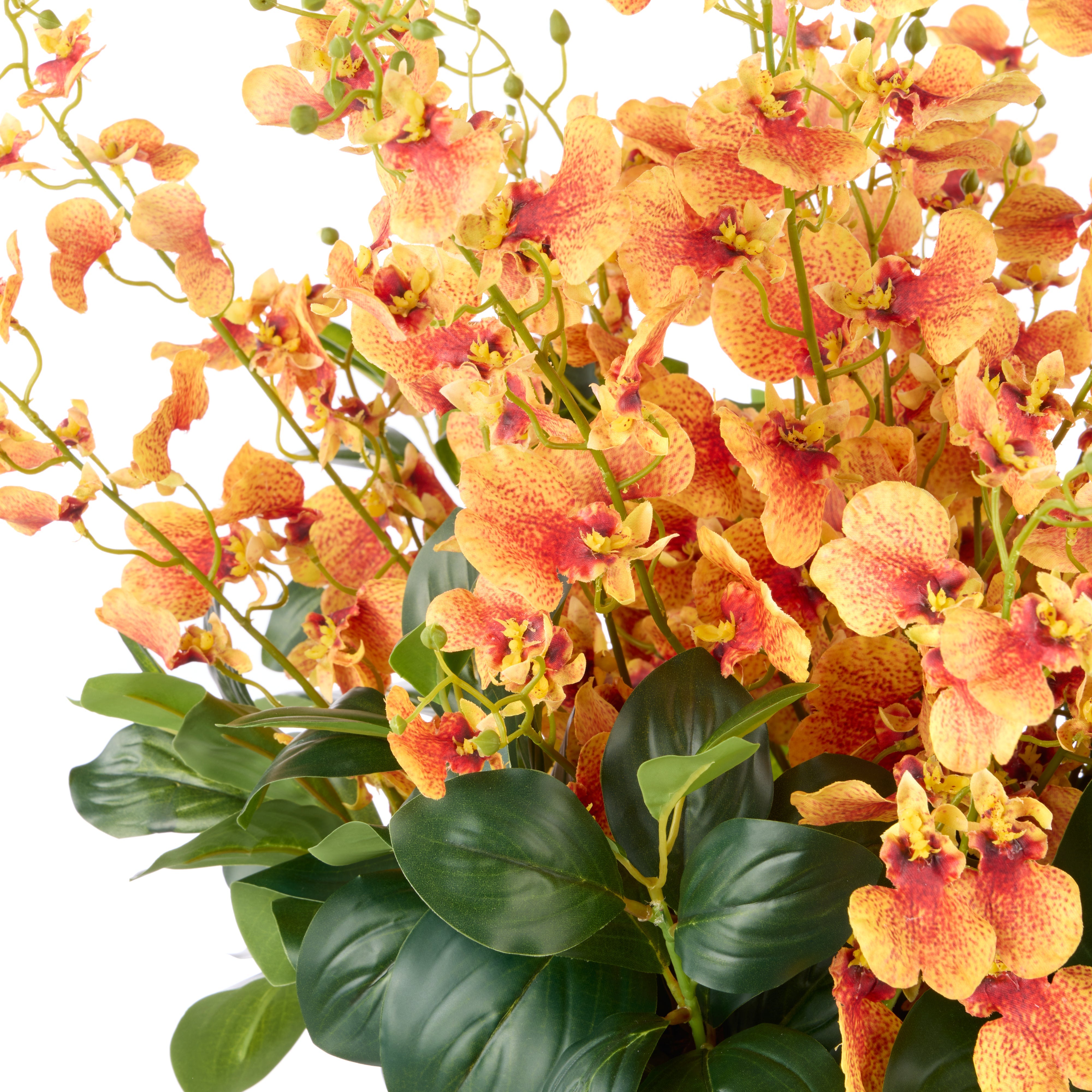 Rogue Dancing Orchid - Small Madelyn Bowl