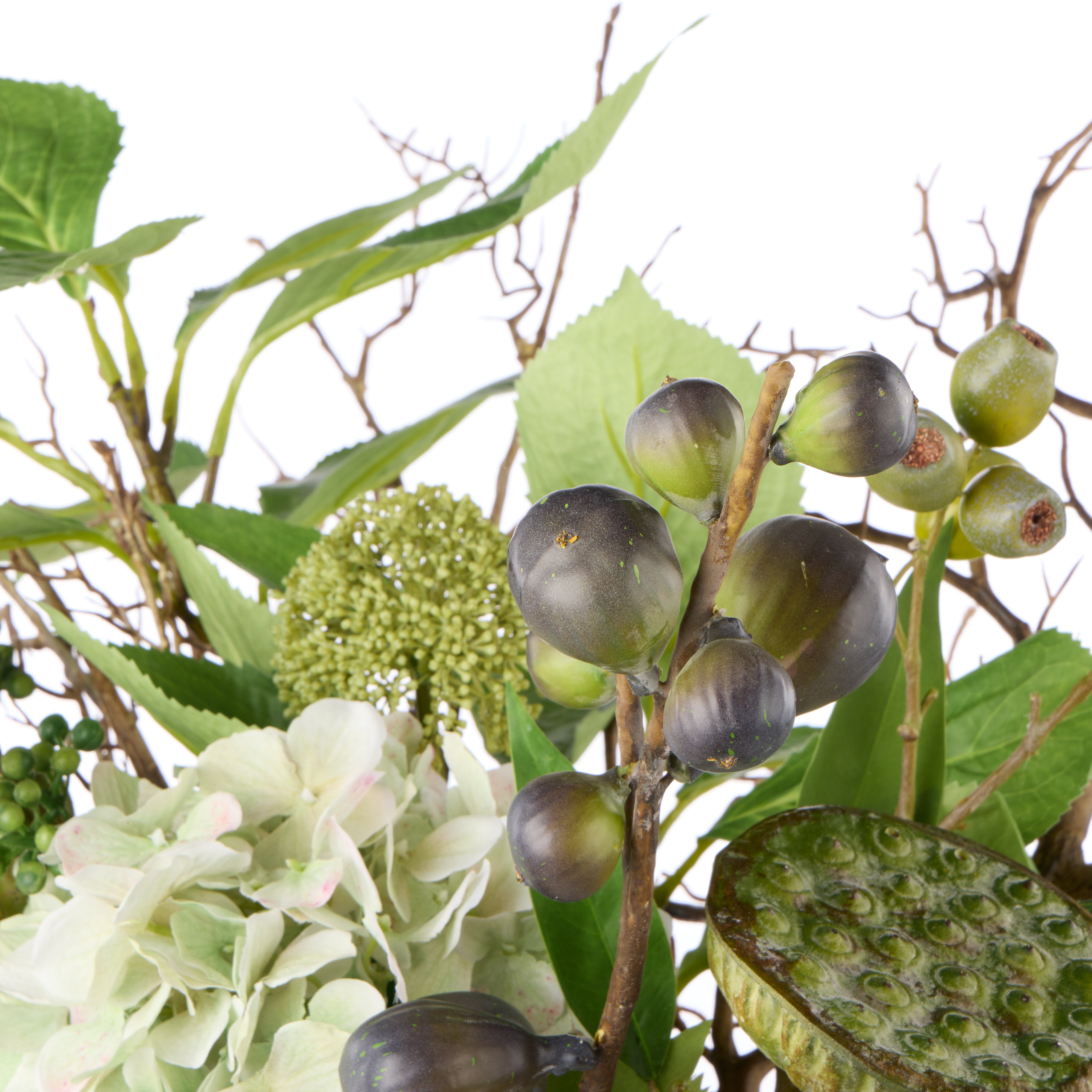 Rogue Hydrangea Lotus Pod Fig Mix - Maliah Pot
