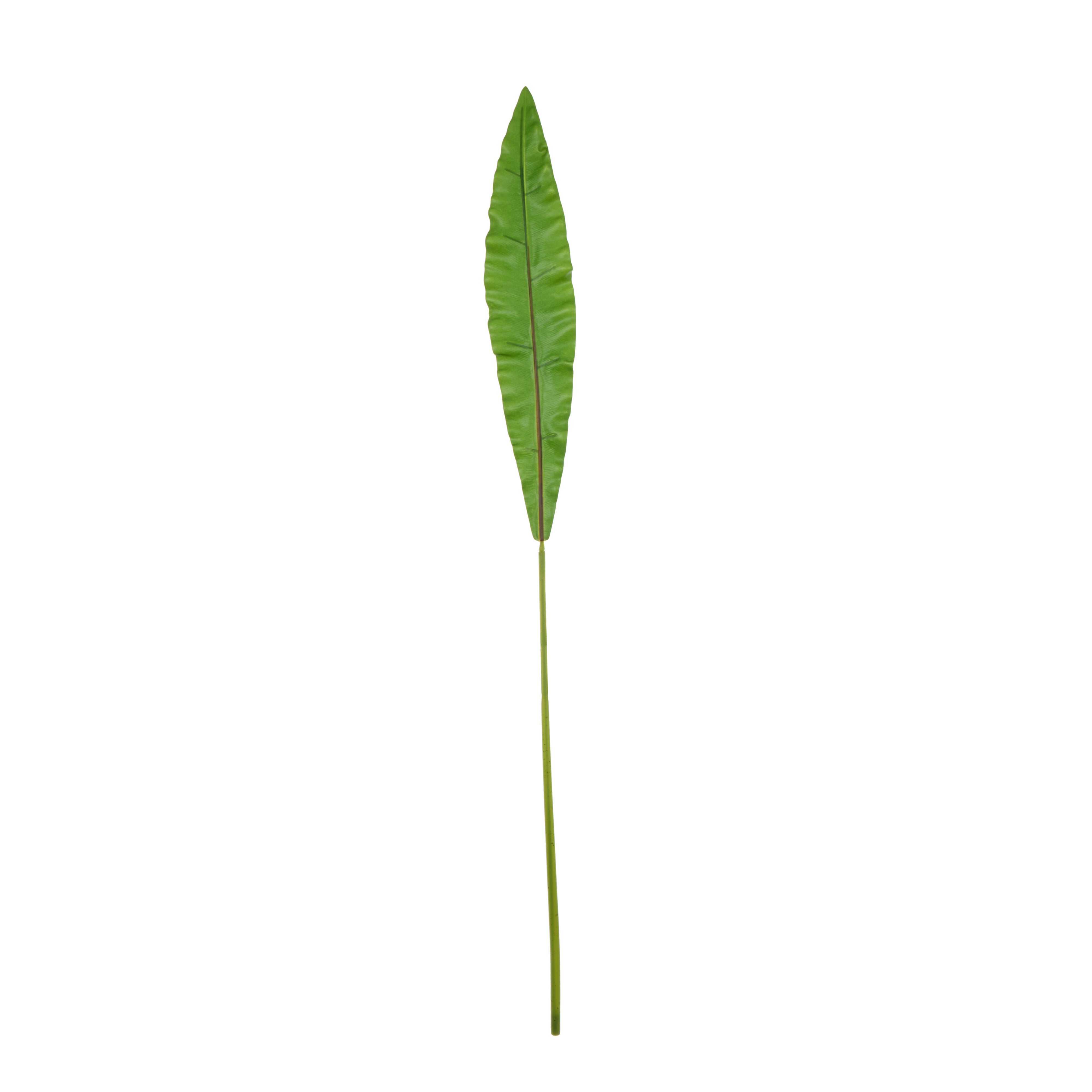 Rogue Fern Leaf 108cm