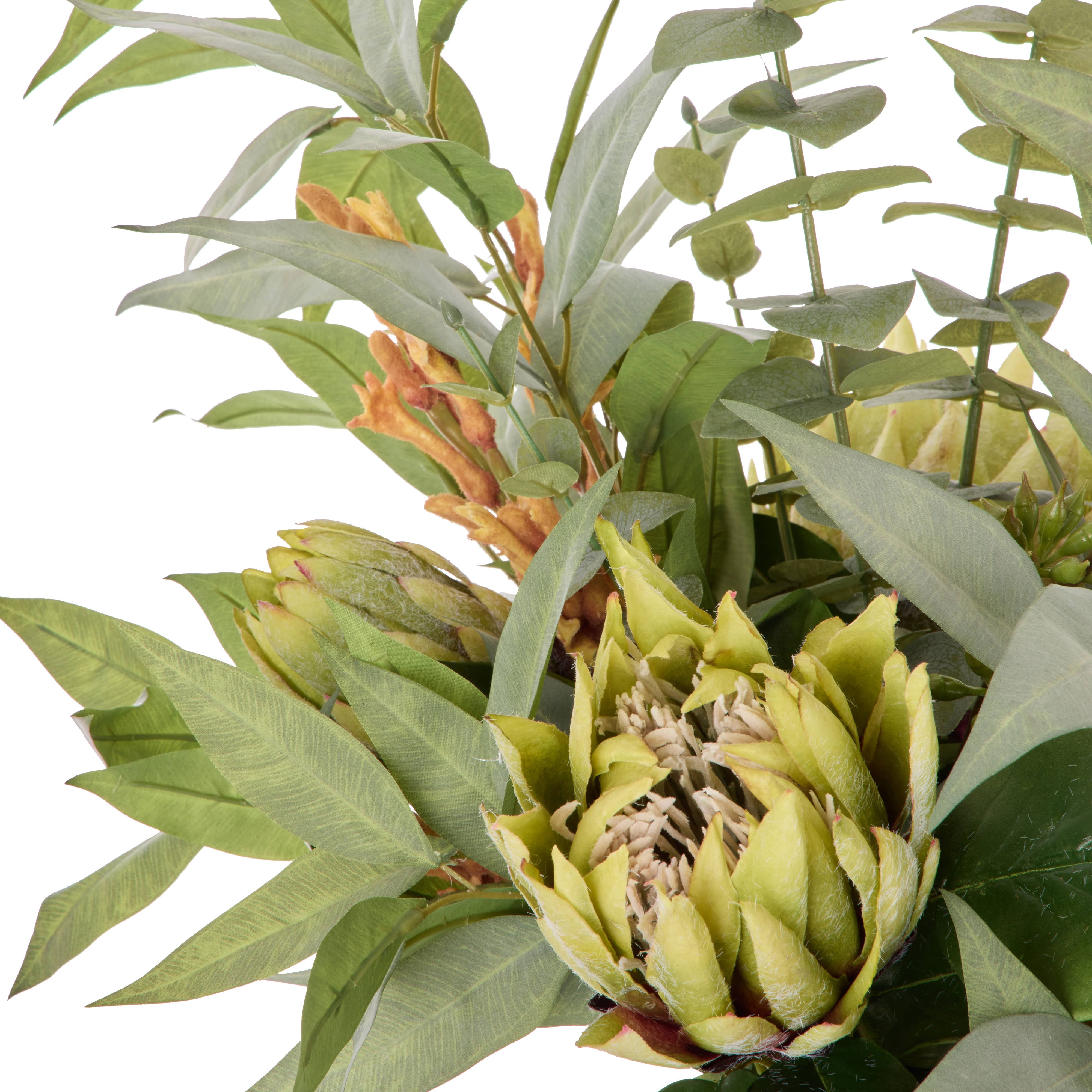 Rogue Protea Kangaroo Paw - Claire Green & Orange 68cm