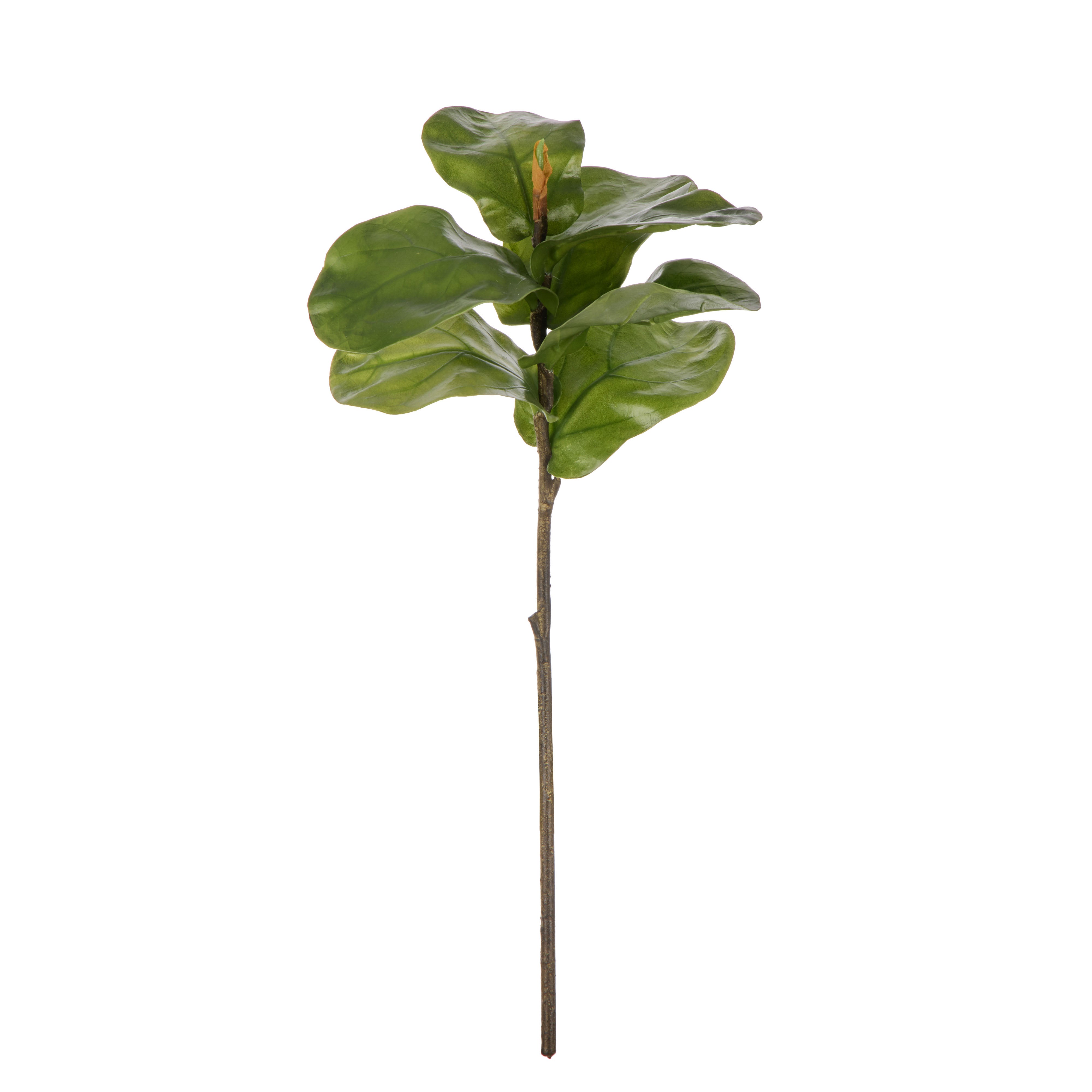 Rogue Fiddle Leaf Spray