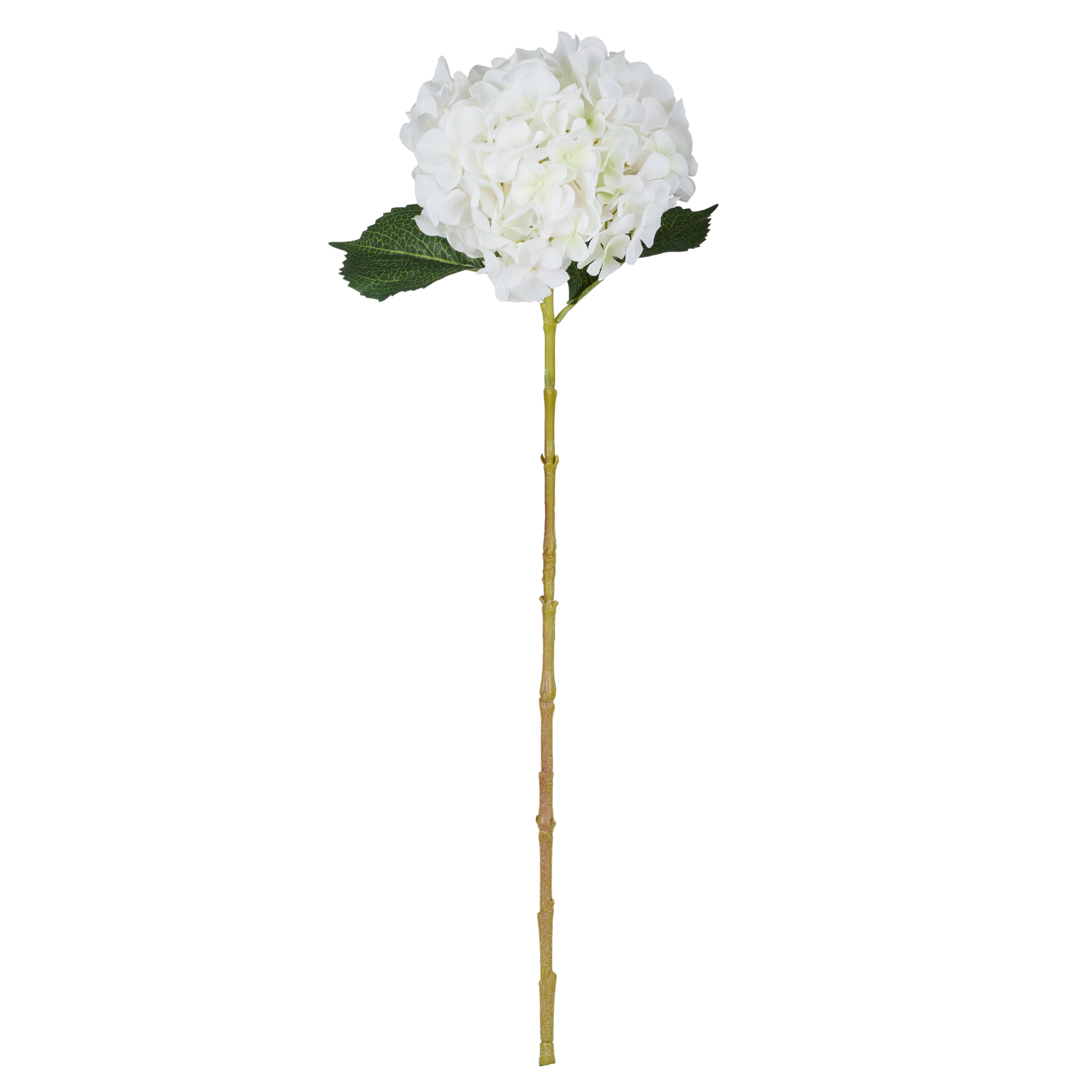 Rogue Hydrangea Stem White 65cm