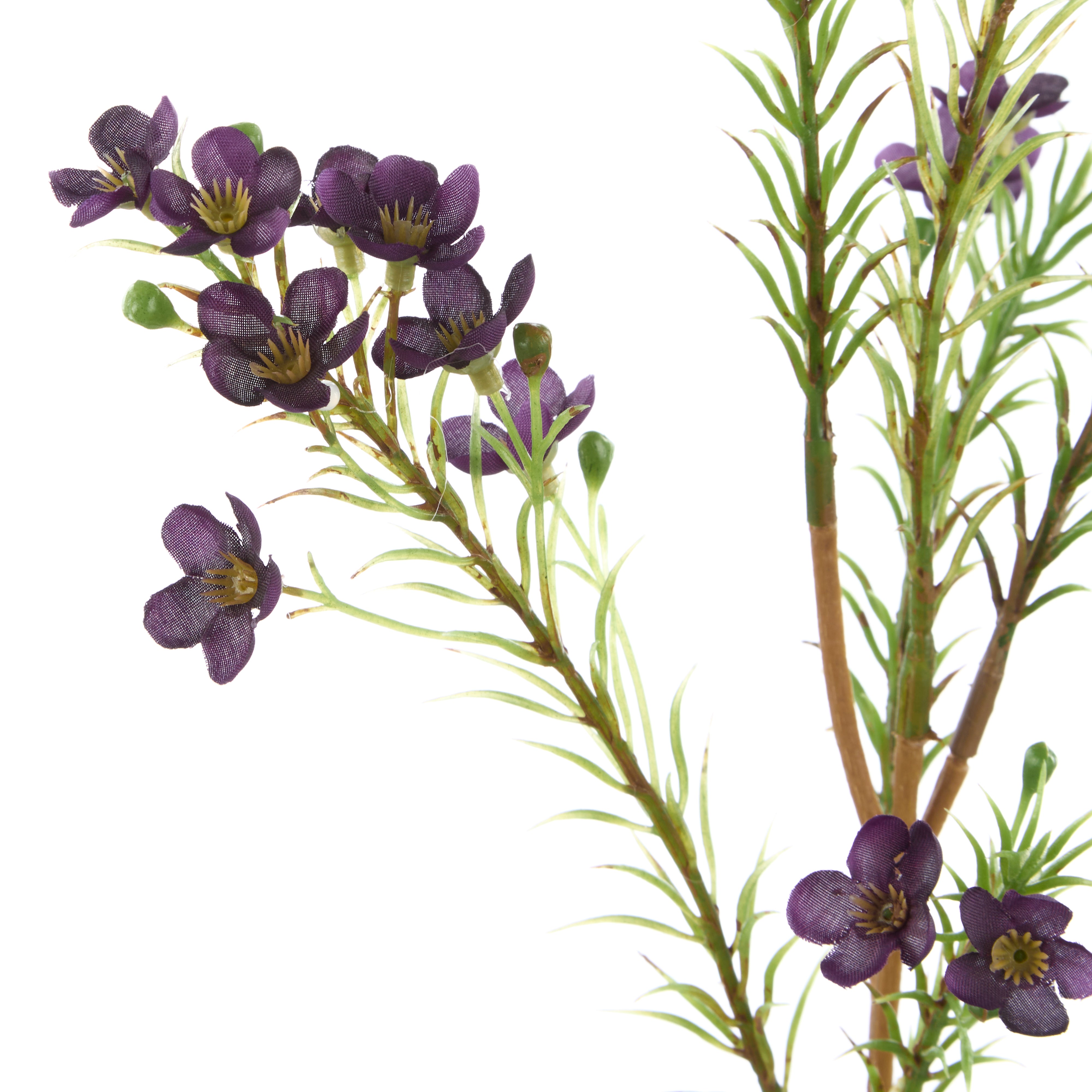 Rogue Wax Flower Spray Purple