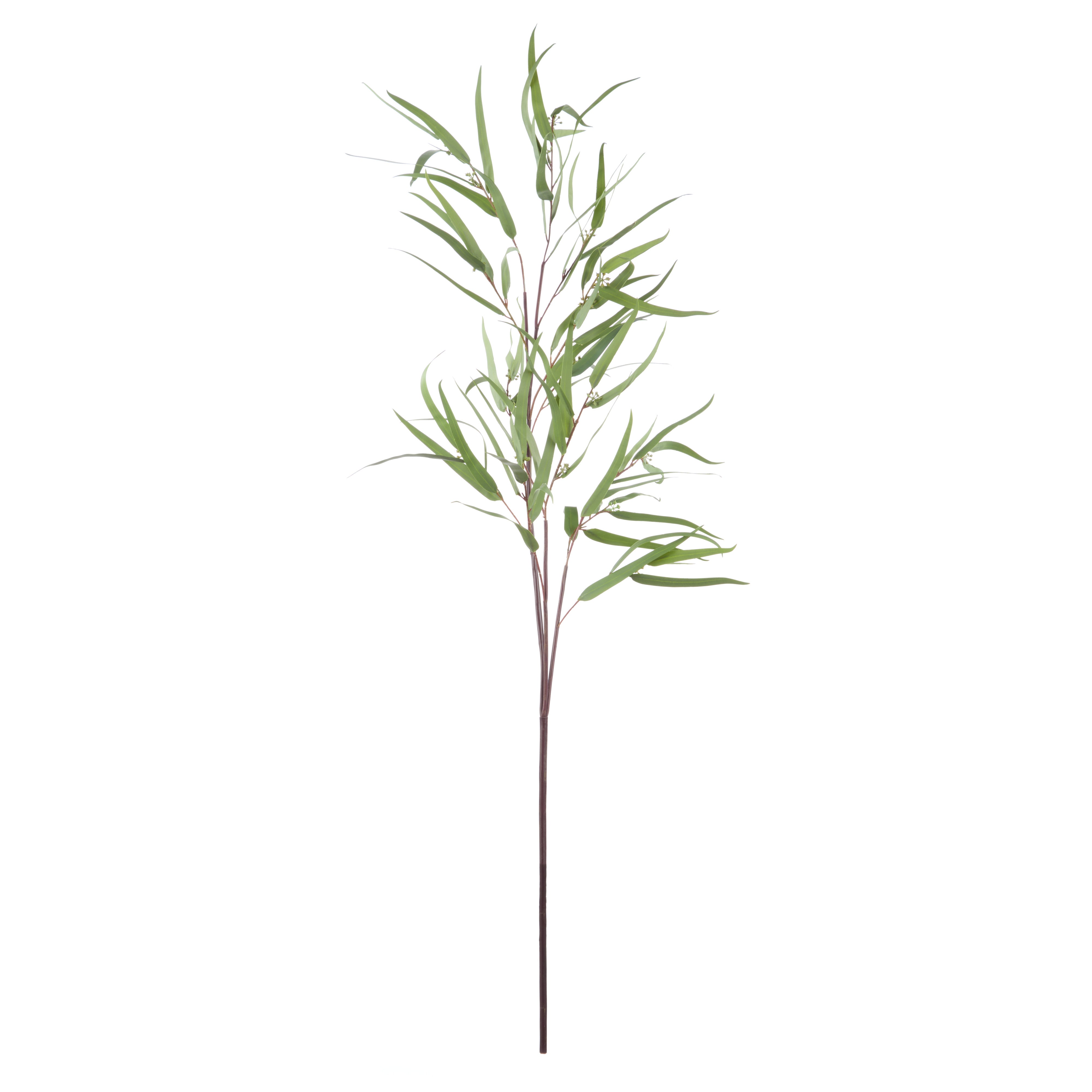 Rogue Eucalyptus Spray Green 13cm