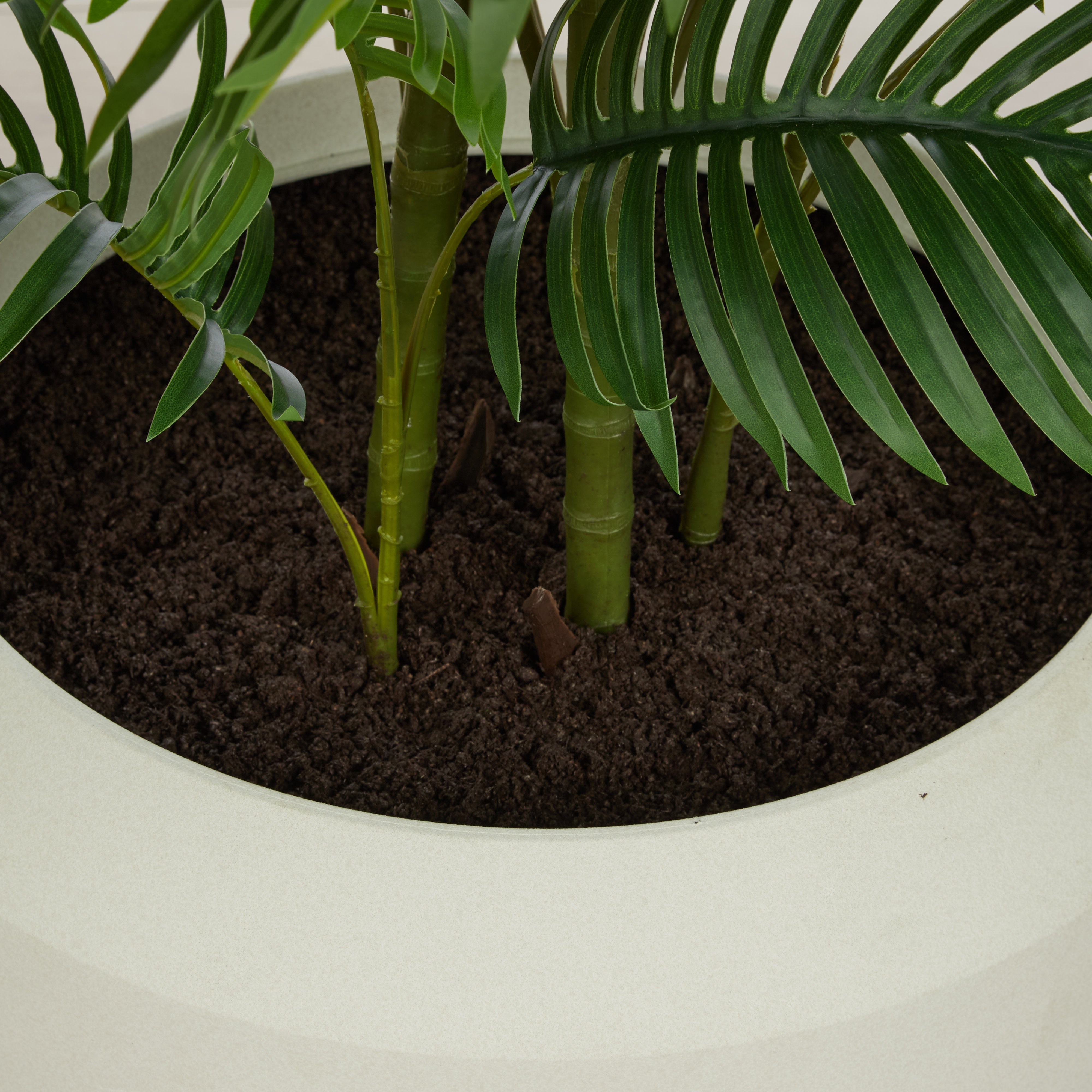 Rogue Areca Palm Tree - Vienna Planter 185cm
