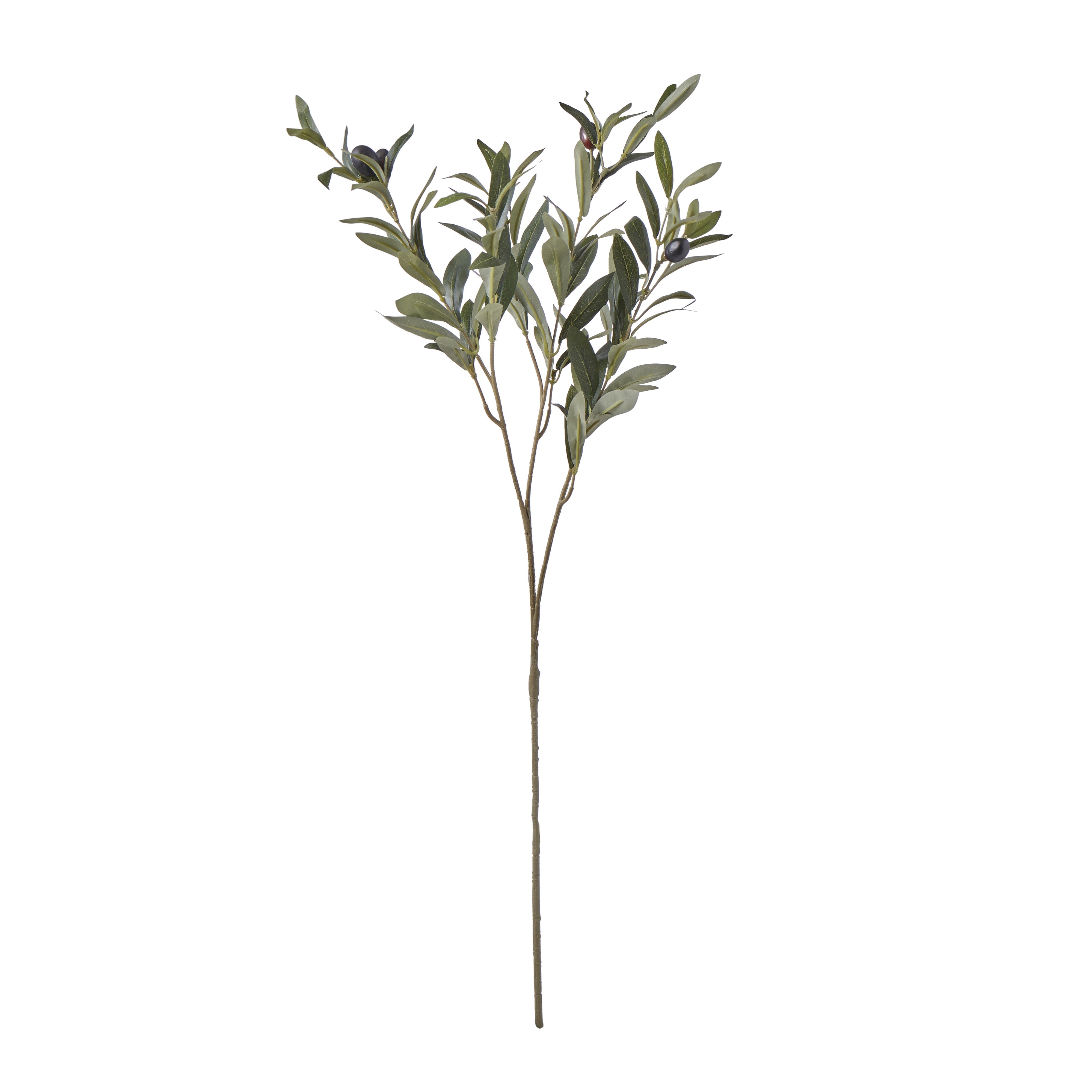 Rogue Olive Spray 72cm