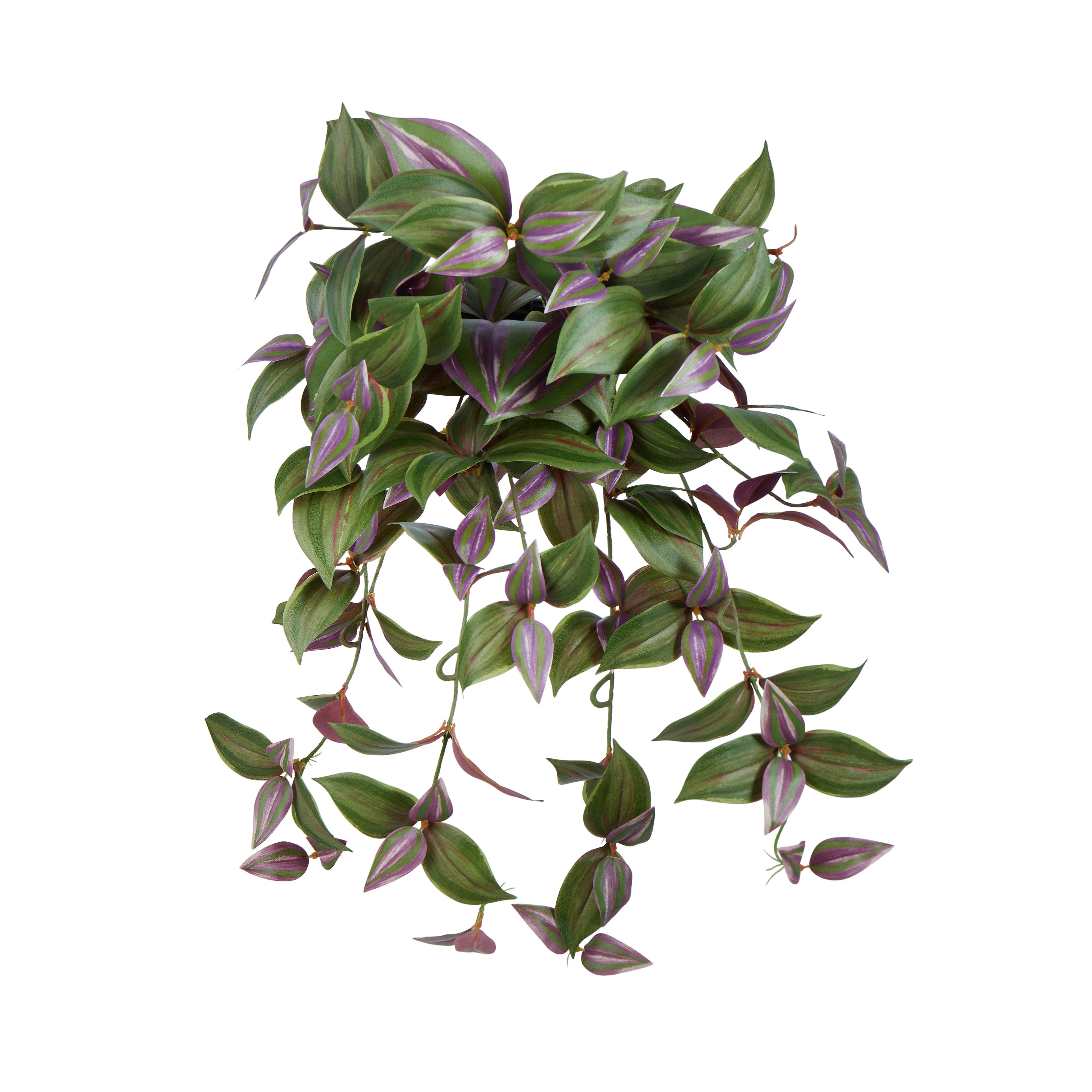 Rogue Wandering Dude Hanging Bush Green & Purple 52cm
