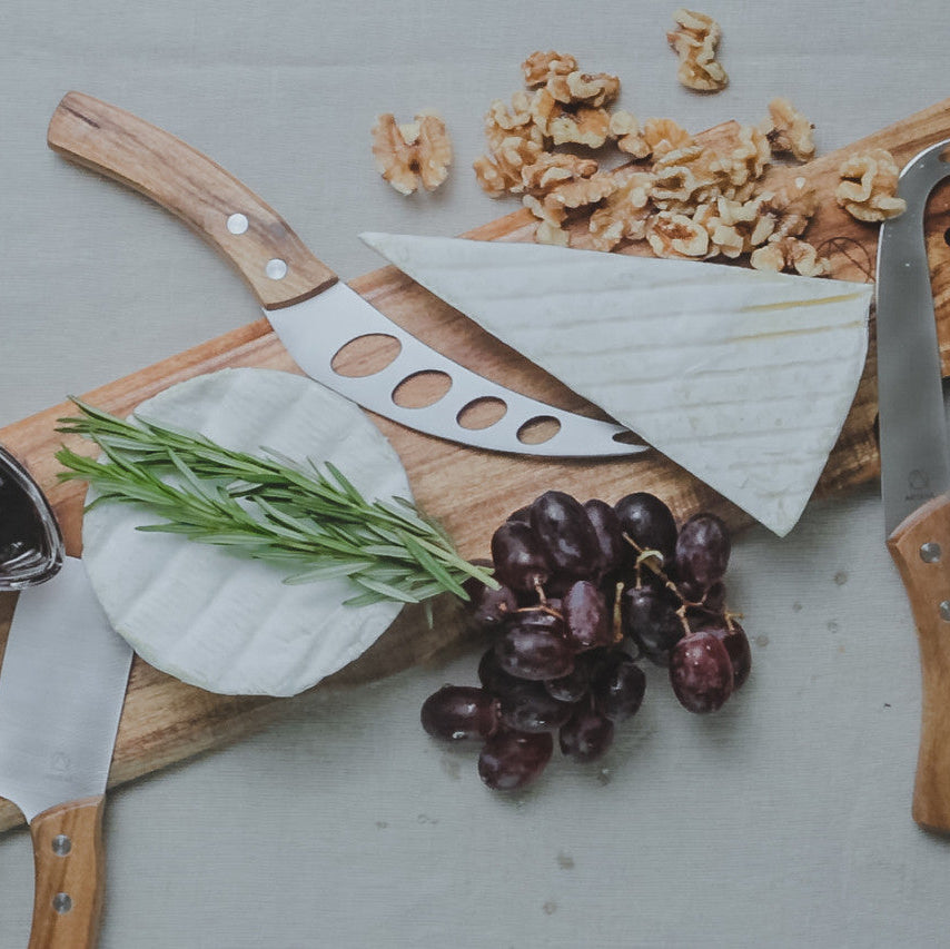Artesà Stainless Steel Cheese Knife Set