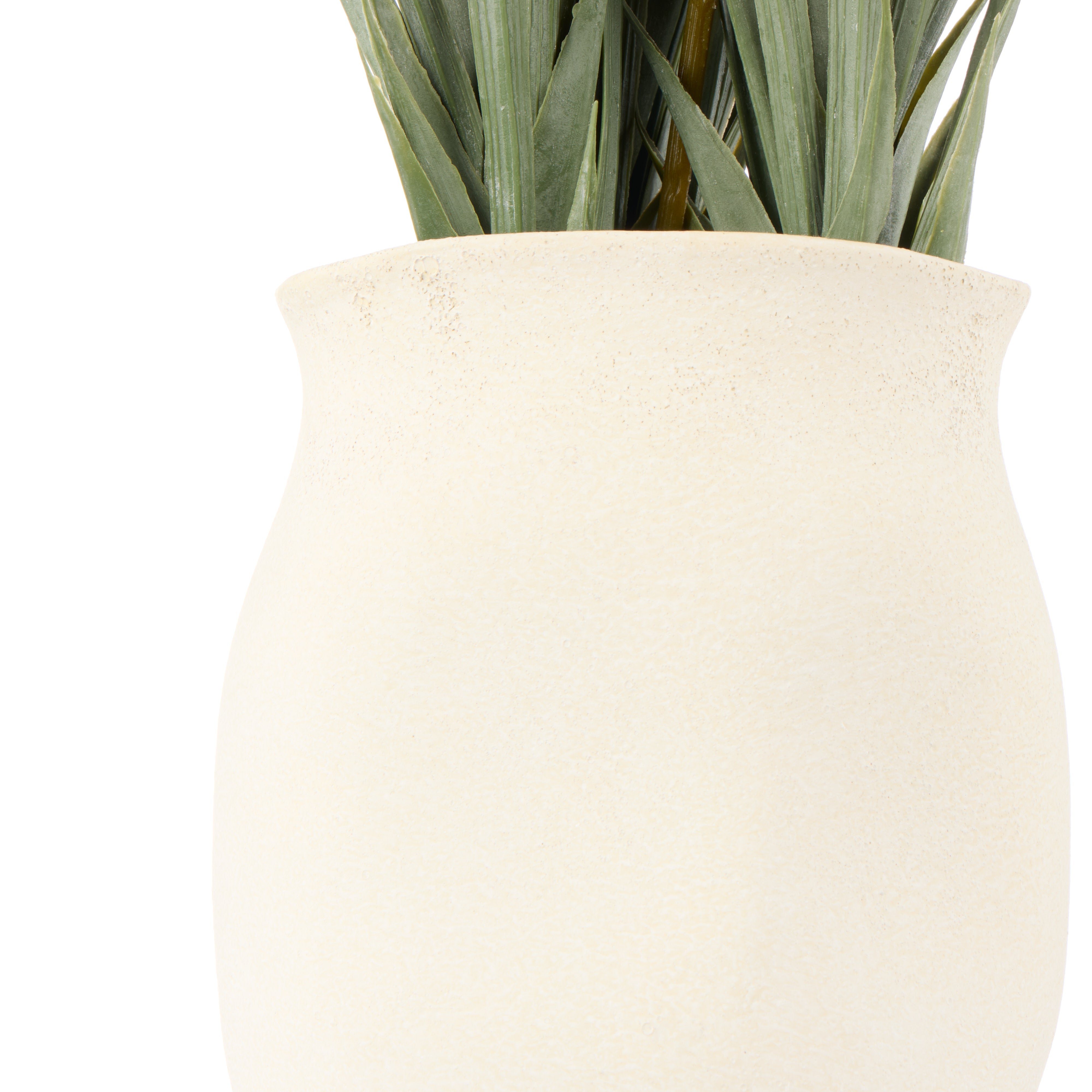 Rogue Kangaroo Paw - Maliah Pot Yellow 72cm