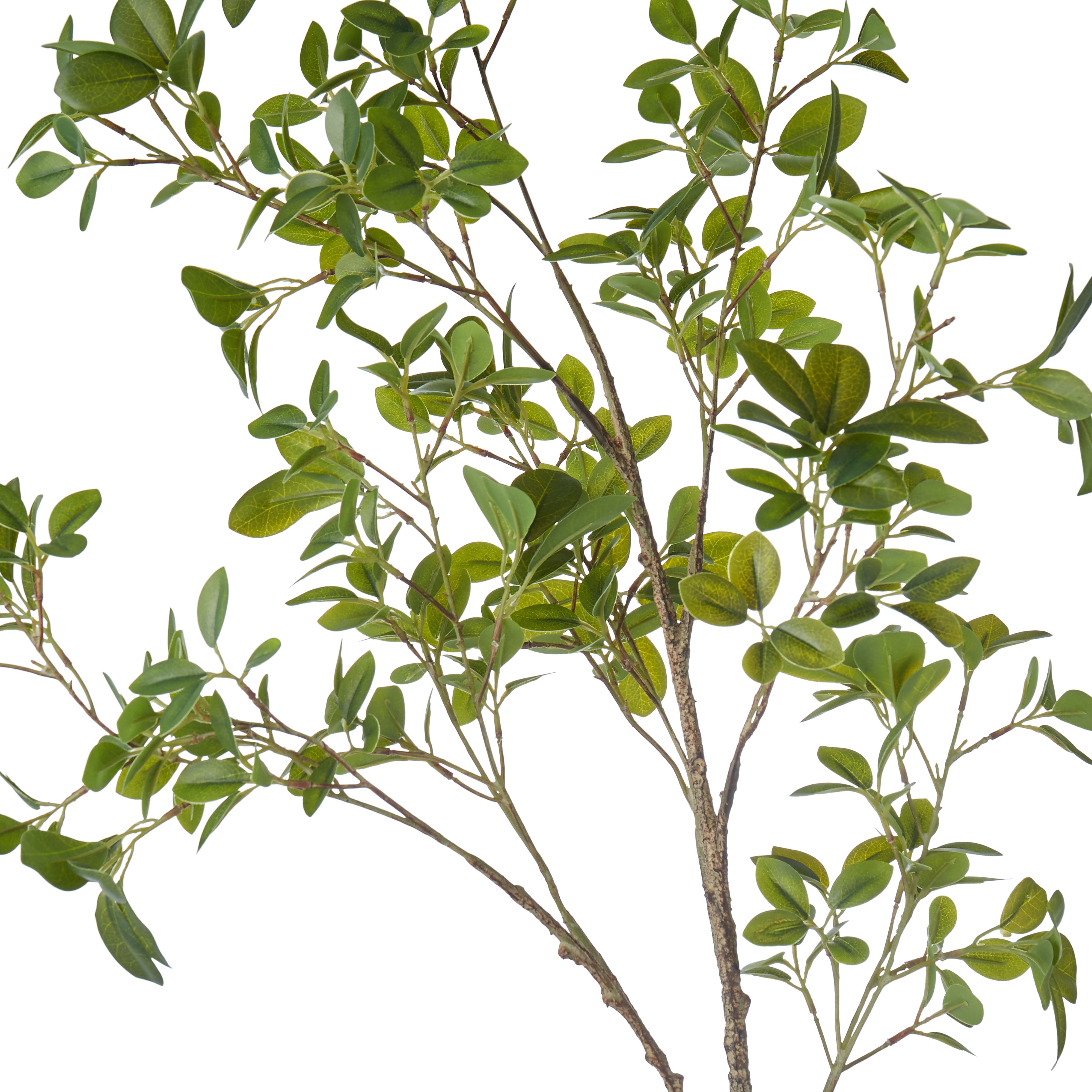 Rogue Mini Leaf Branch