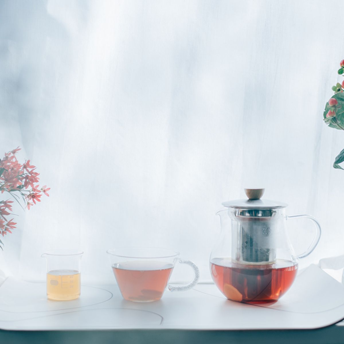 Hario Tea Pitcher 450ml